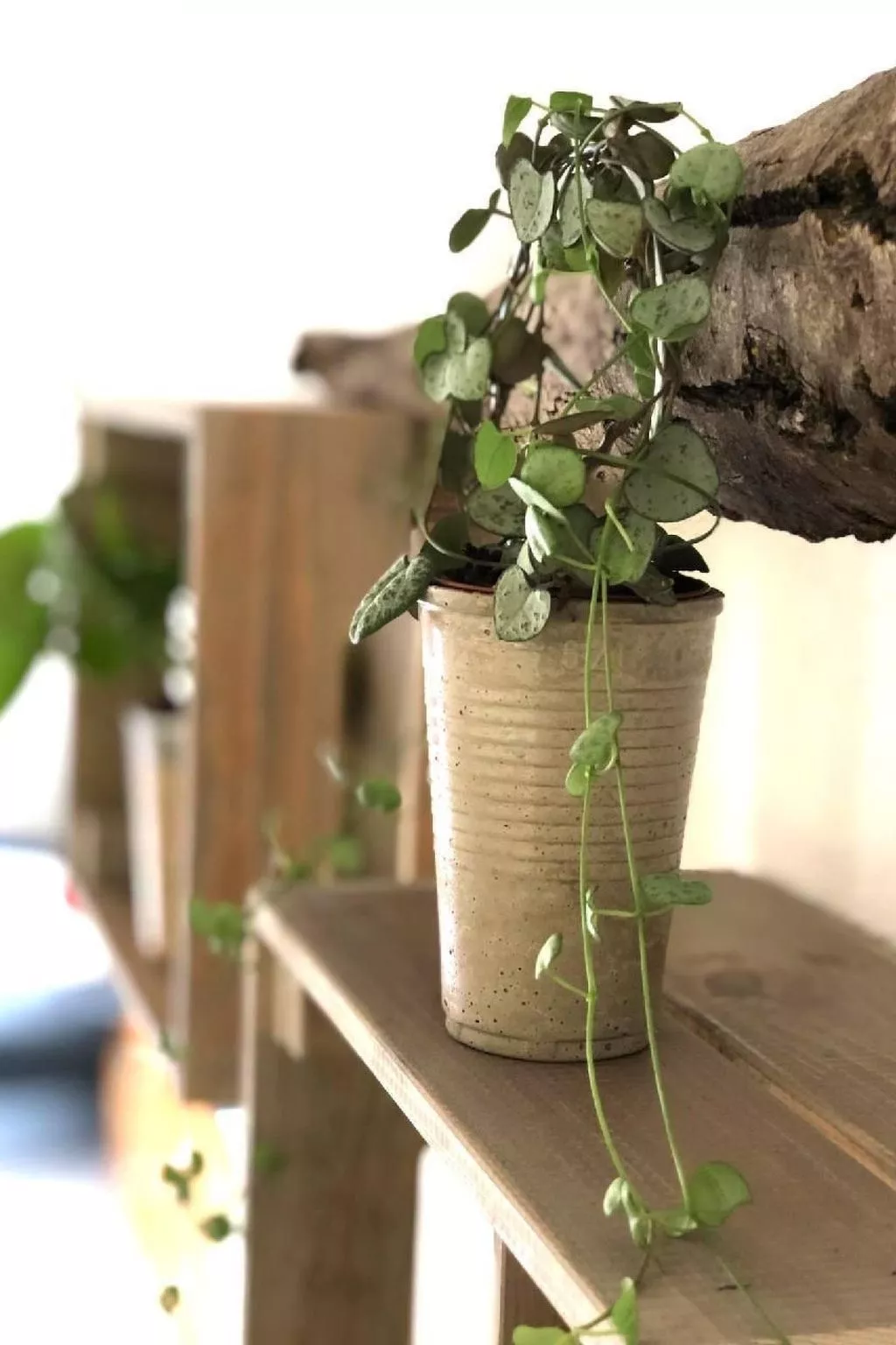 Mit Bergblick-Inside