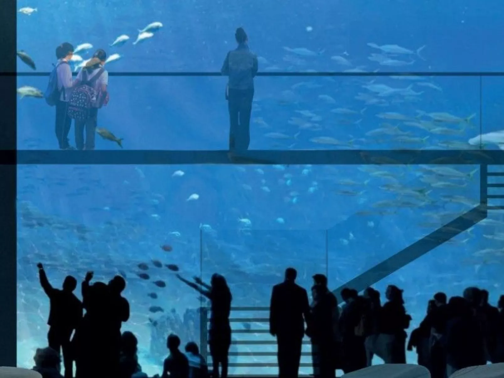 Kleine Wohnung in großem Familienhaus-Dehors