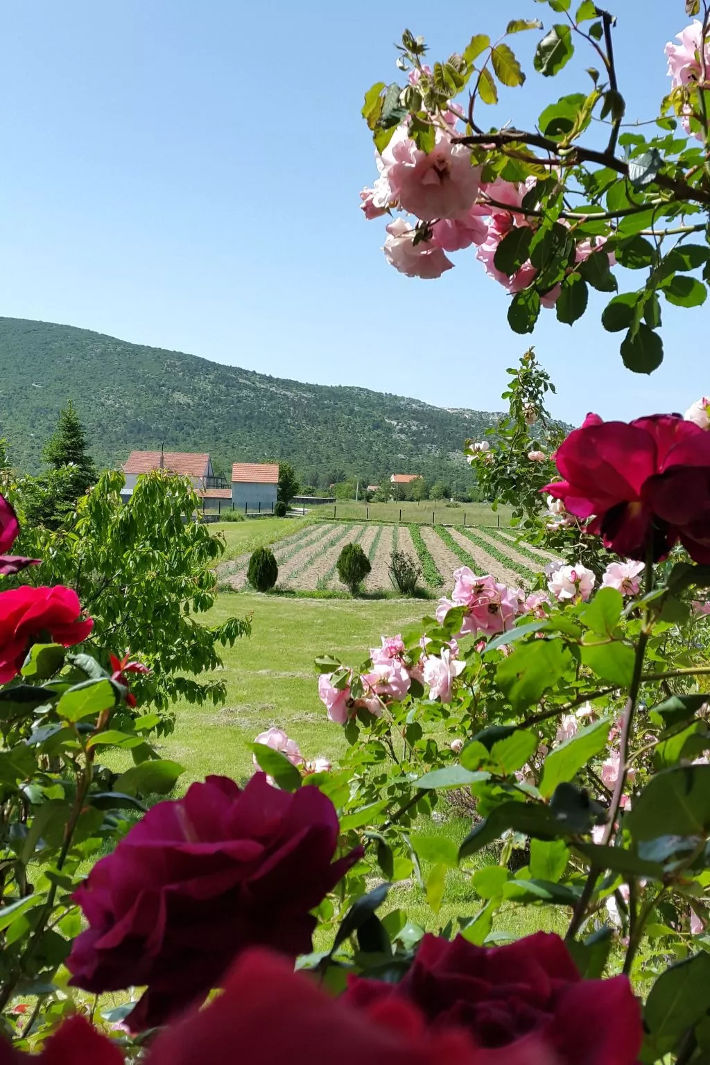 Anwesen "Villa Almas, Sauna, Fitnessraum, Multisport-Inside