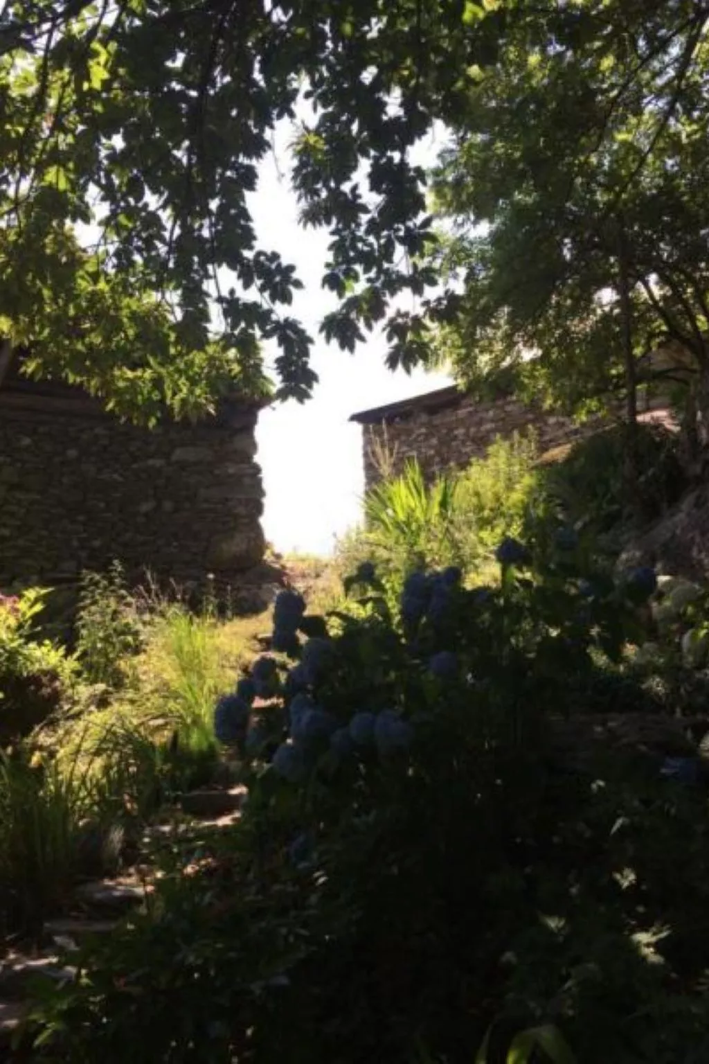 Weg von der Zuvielisation-Draußen