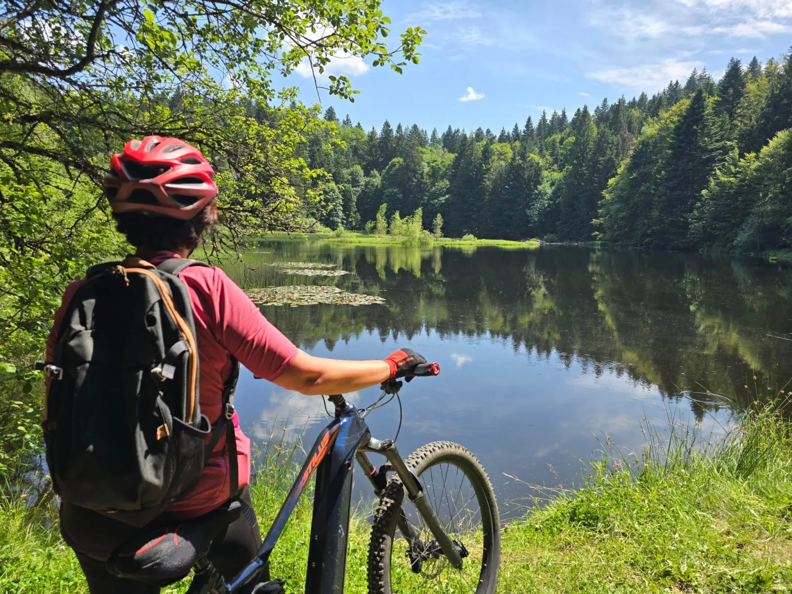 Le Chalet Sous Les Sapins, mit Swimmingpool, Sauna-Dedans