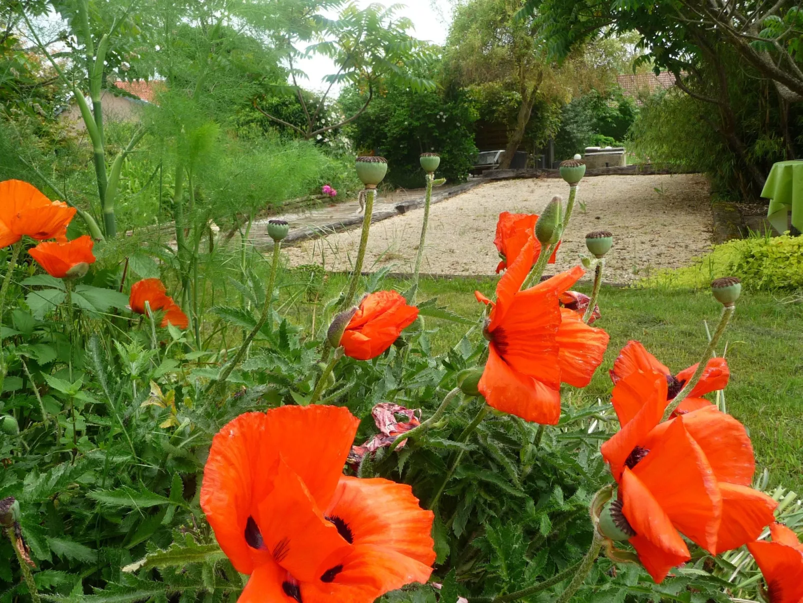 Domaine "Chez Marianne" mit Privatparkplatz-Dedans