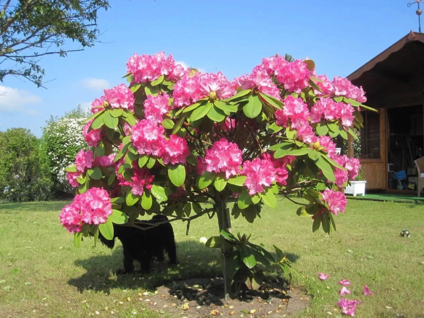 Landhaus am See-Drinnen