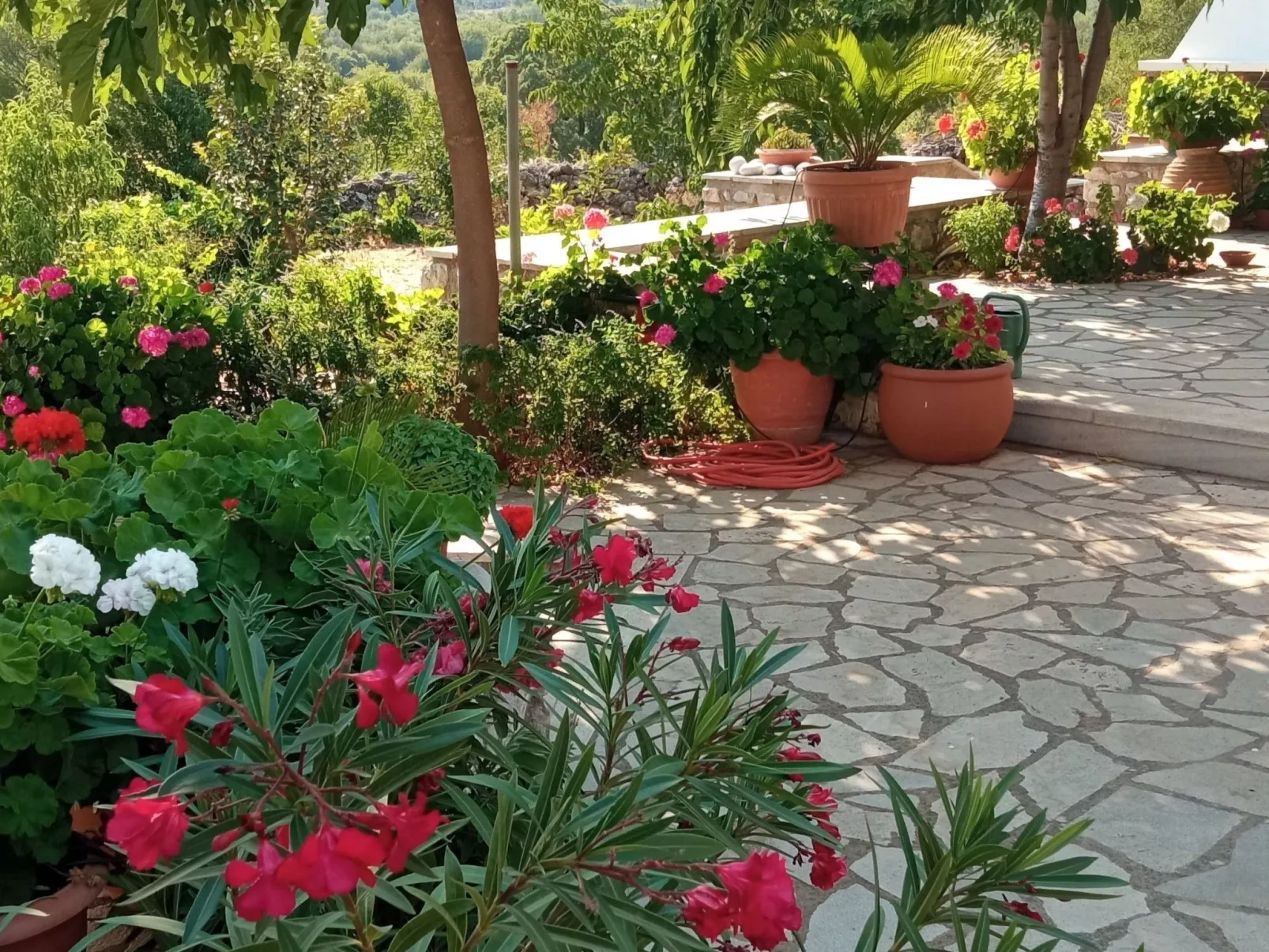 Steinhaus in Leonido mit Parkplatz-Inside