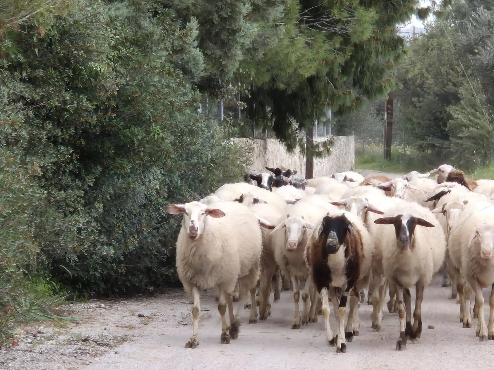"Villa Newlands" - Pool, Meer und Inseln-Drinnen