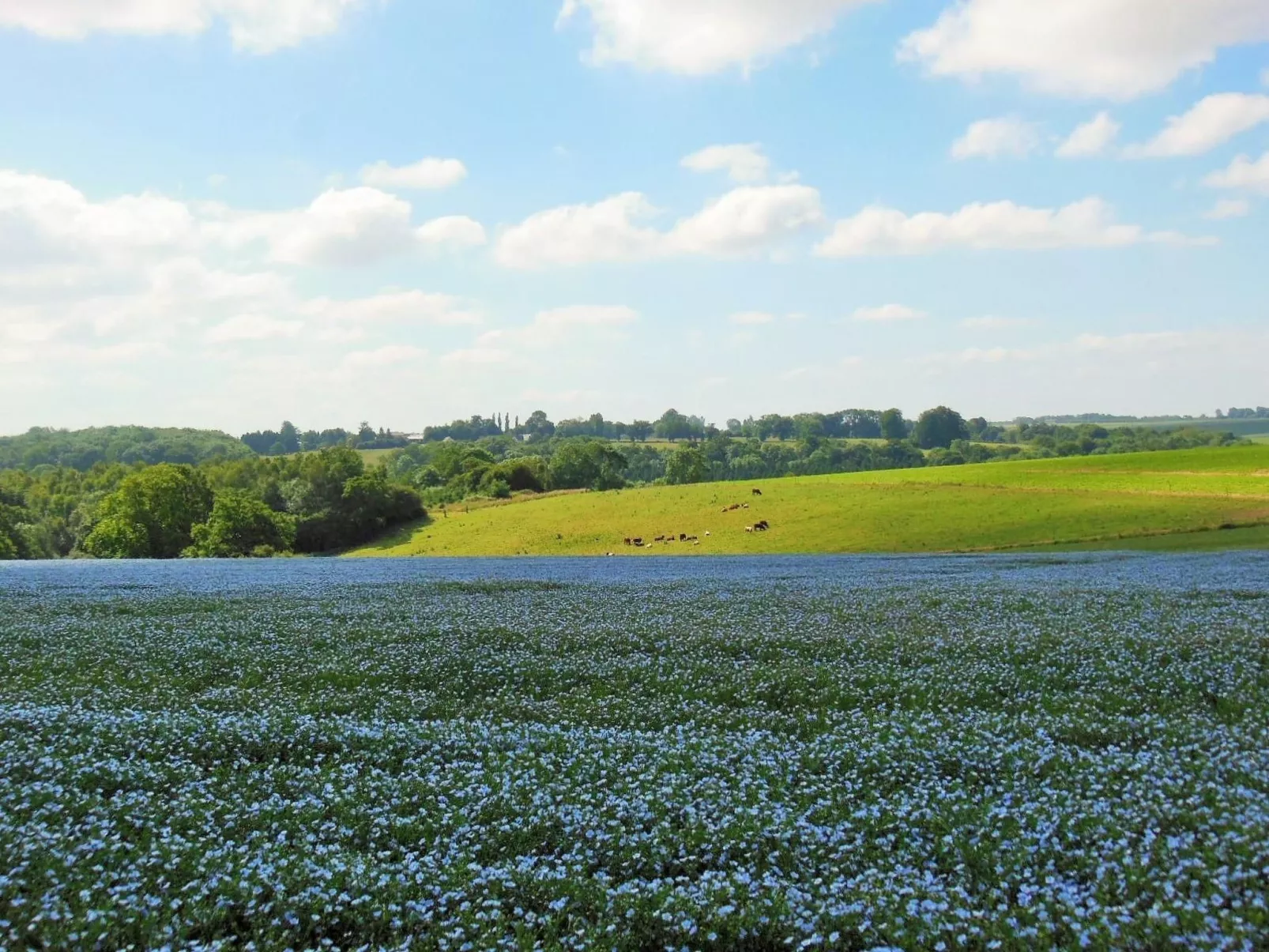 Für acht Personen-Image-tags.info