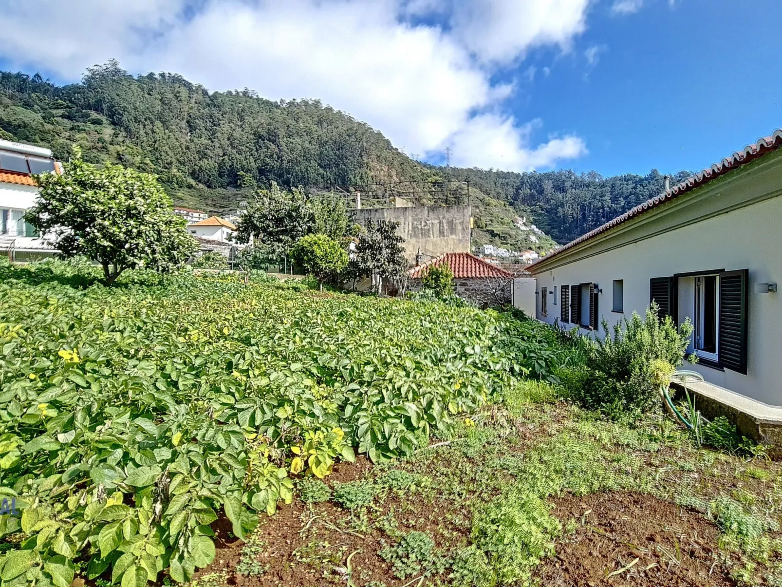 Yohannas Unterkunft-Dedans