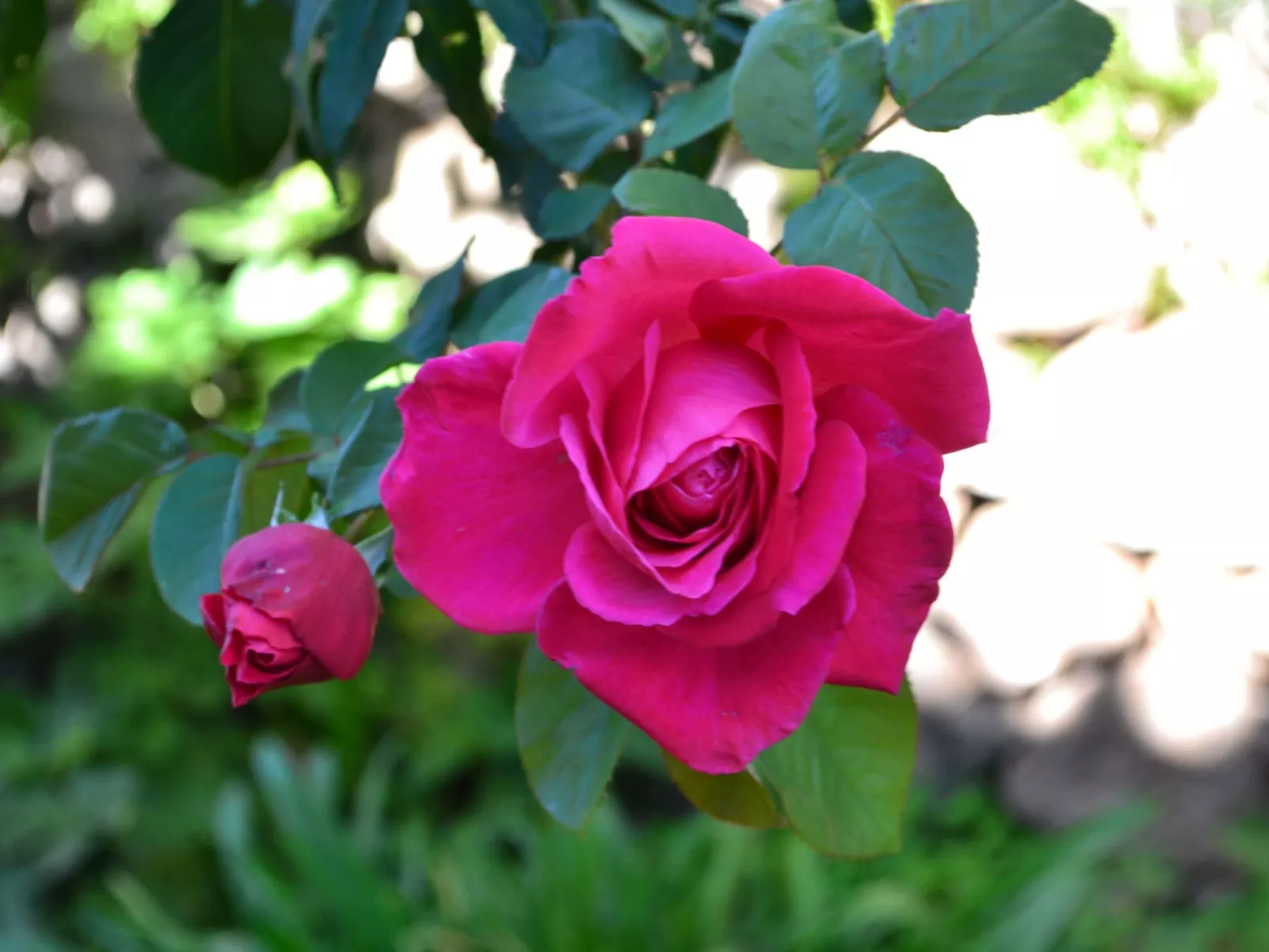 Luxuriöse Privatvilla mit Infinity-Pool-Draußen