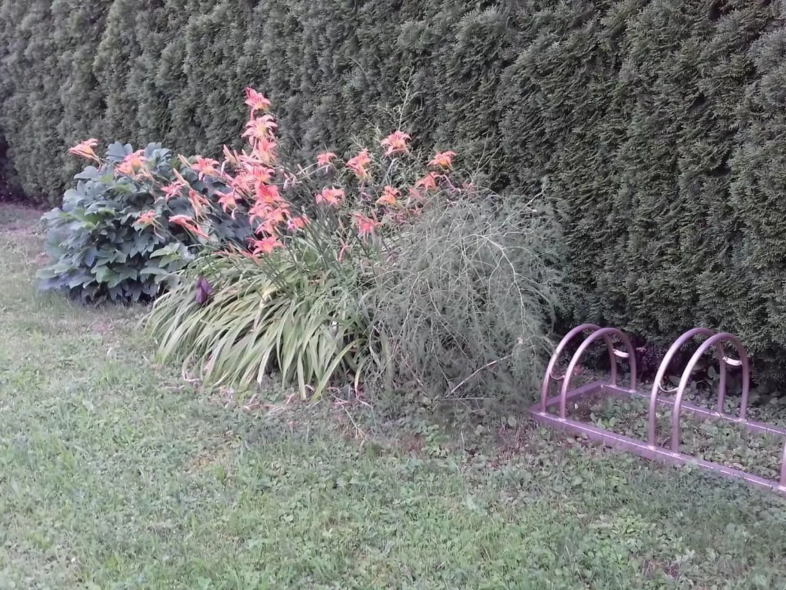 Klimatisiertes Ferienhaus in Bükfürdö mit Garten-Inside