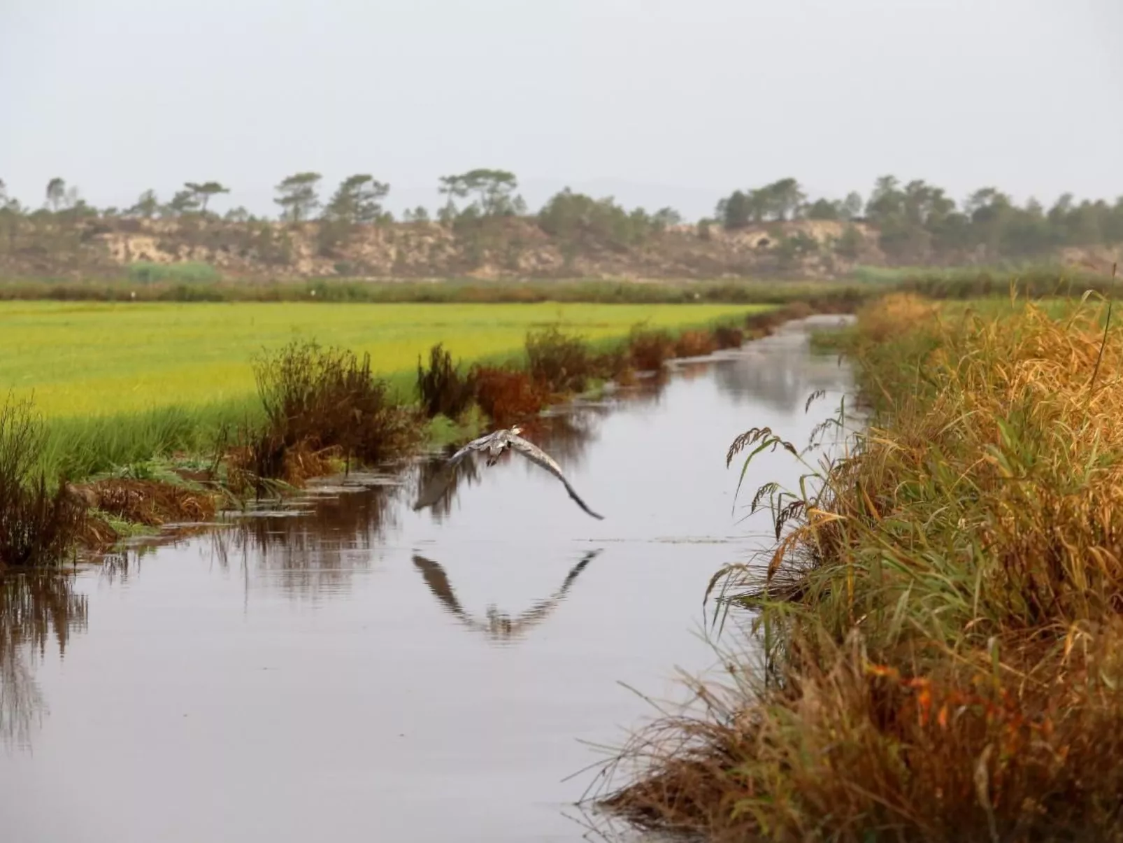 Exklusive Design-Villa in den Dünen, Pool auf dem Dach-Dehors