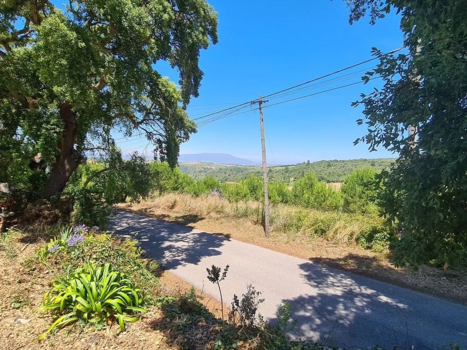 Haus in einem Bauernhof zwischen Weinbergen 2-Outside