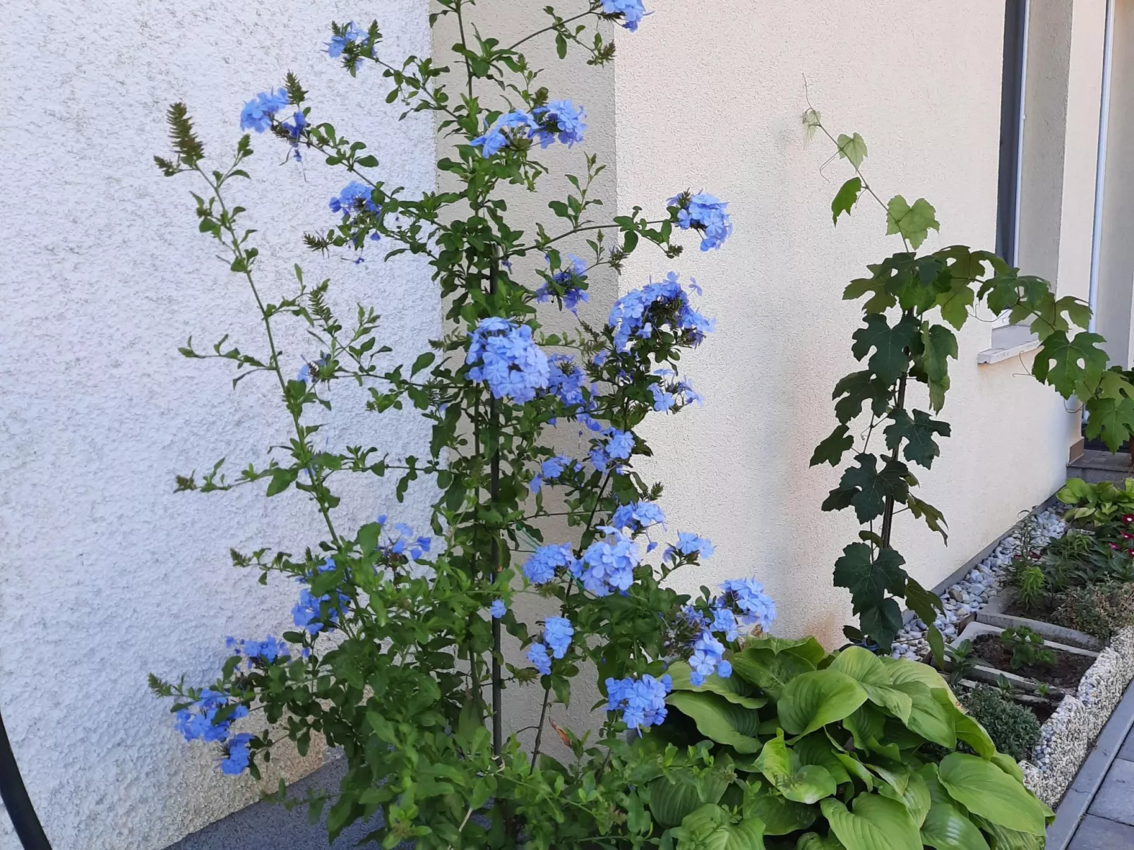 In Bük im Parterre mit Garten-Drinnen