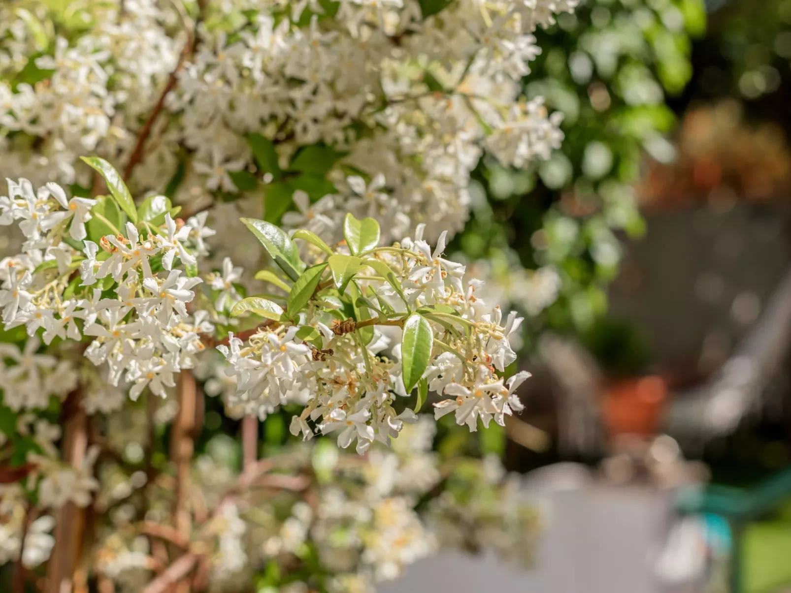 Nette Wohnung mit Kleinem gemeinsamem Pool - Outside