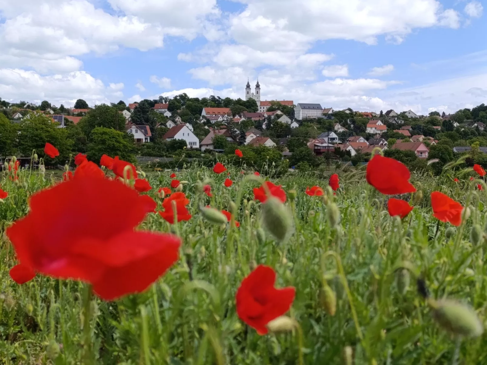 Ferienwohnung-Dedans