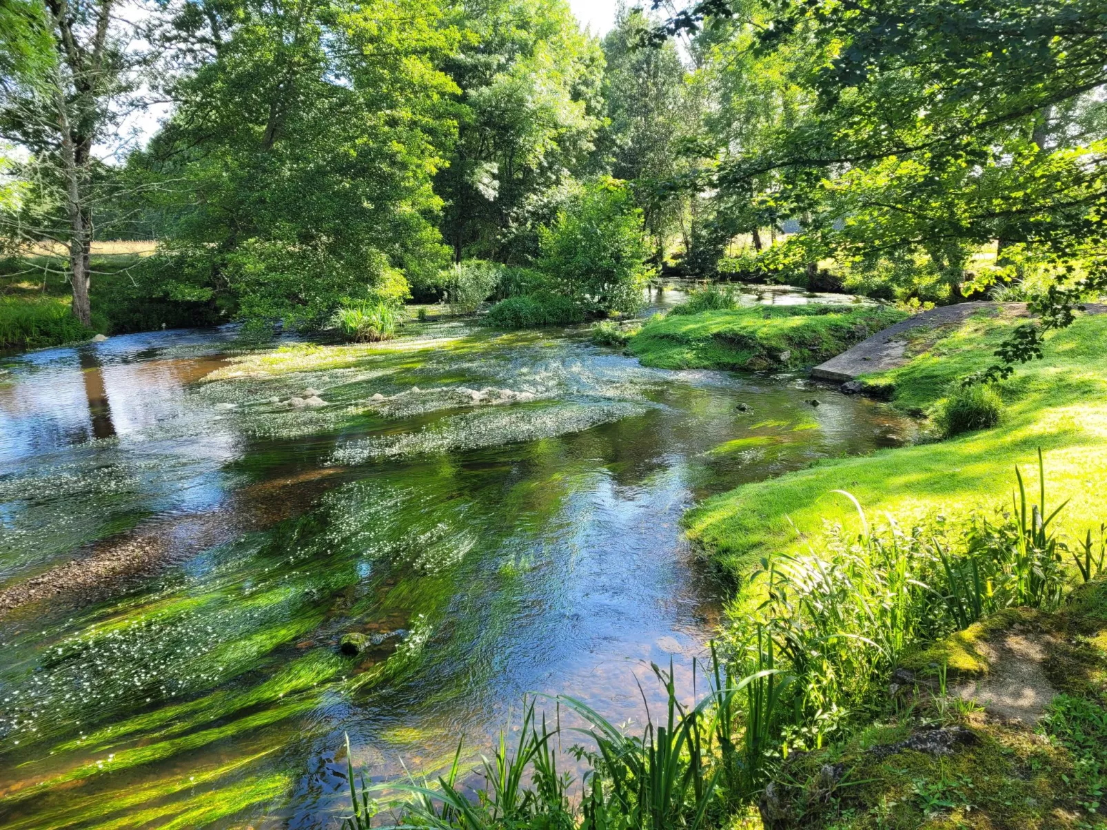 La Monestière-Inside