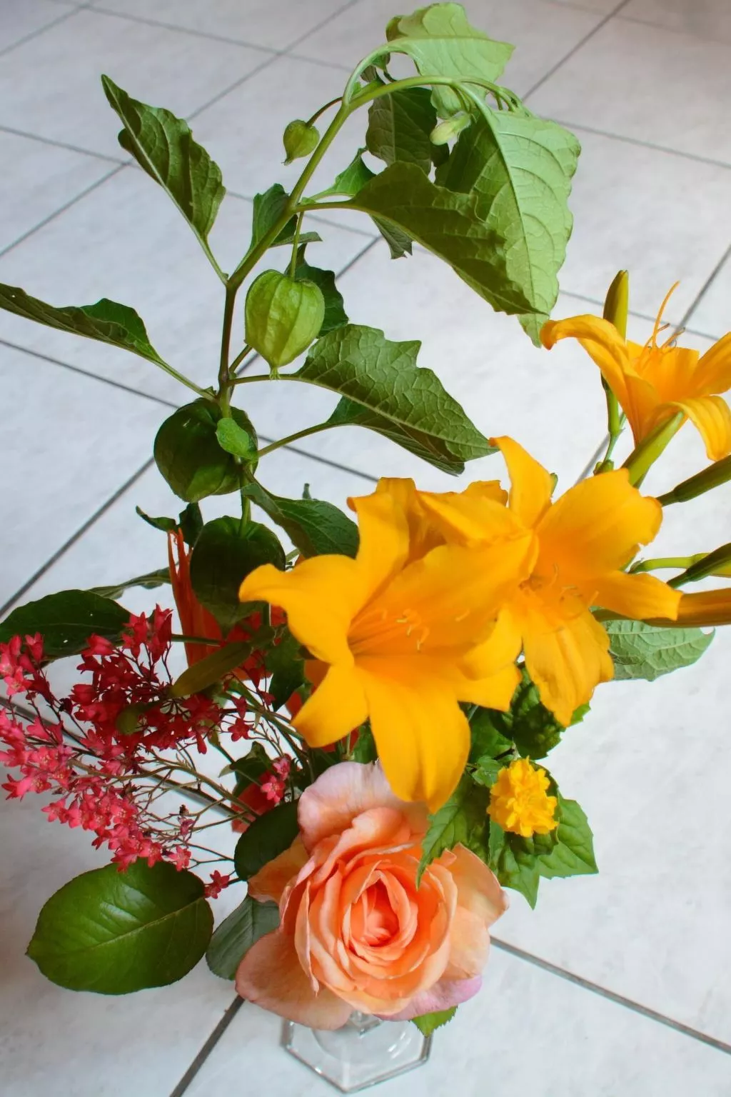 La Maison Bleue im Zentrum des Elsass in Bergheim-Dedans