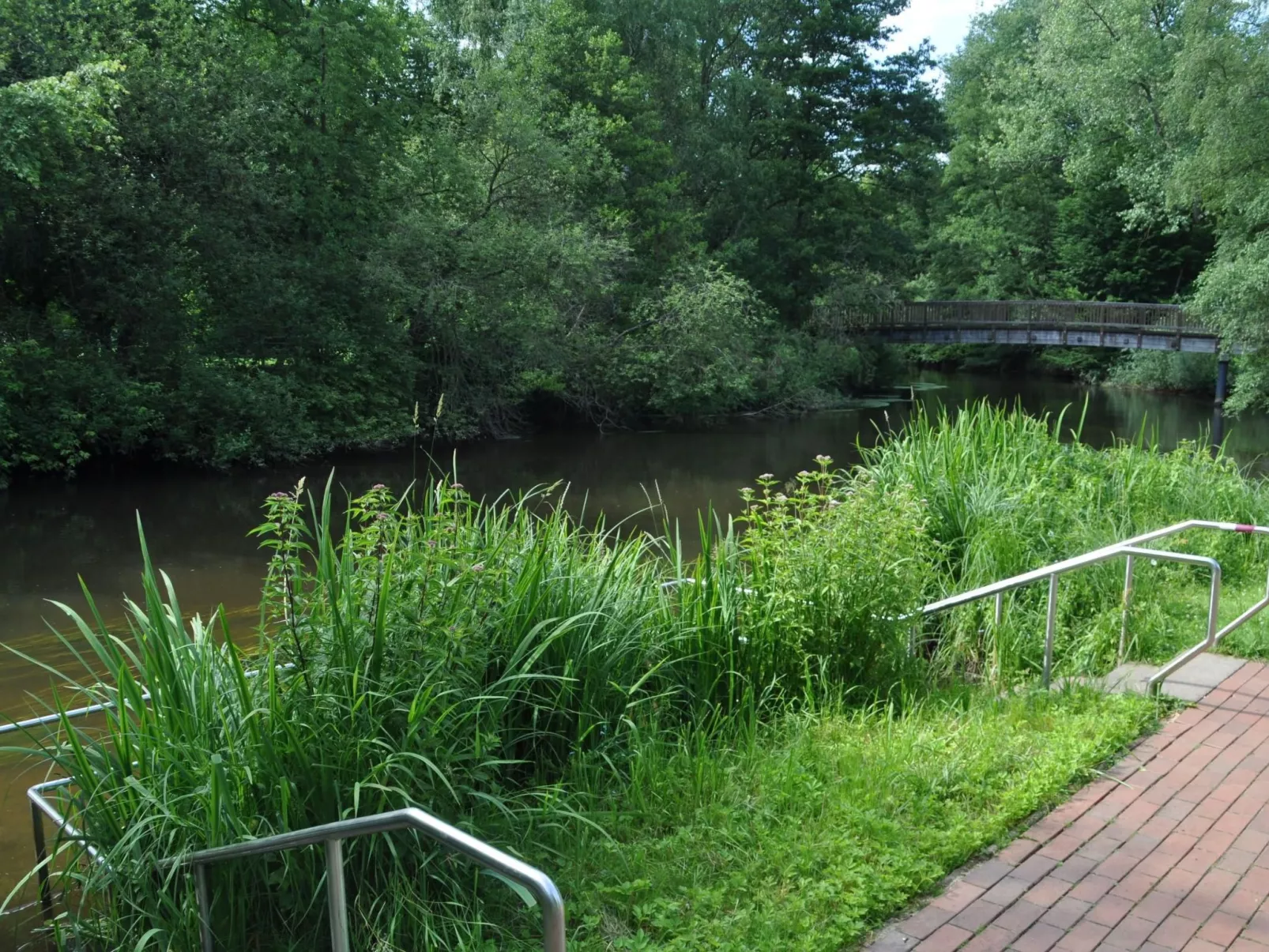 Rosalie - Ruhig - Zentral - Hochwertig-Outside