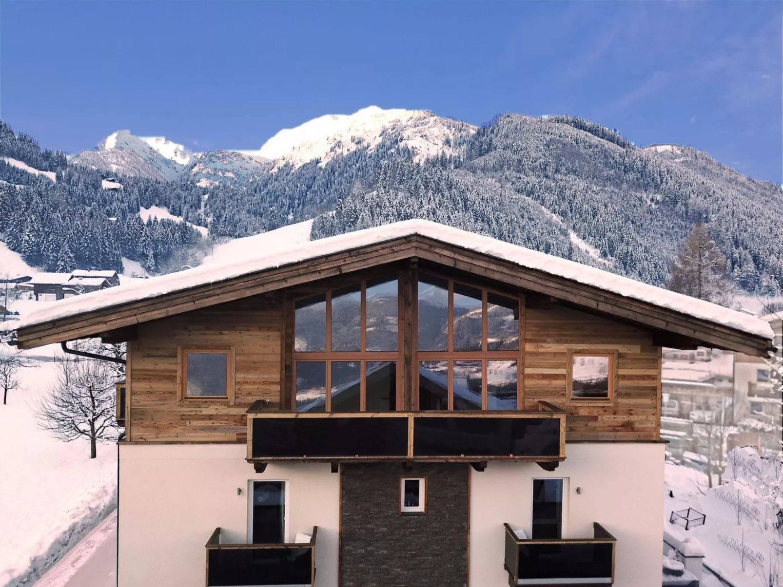 Alpin Penthouse Hollersbach-Outside