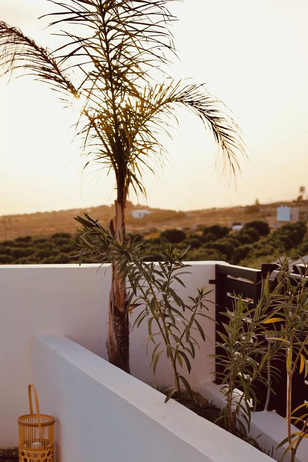 "Villa Nepenthe"-Outside