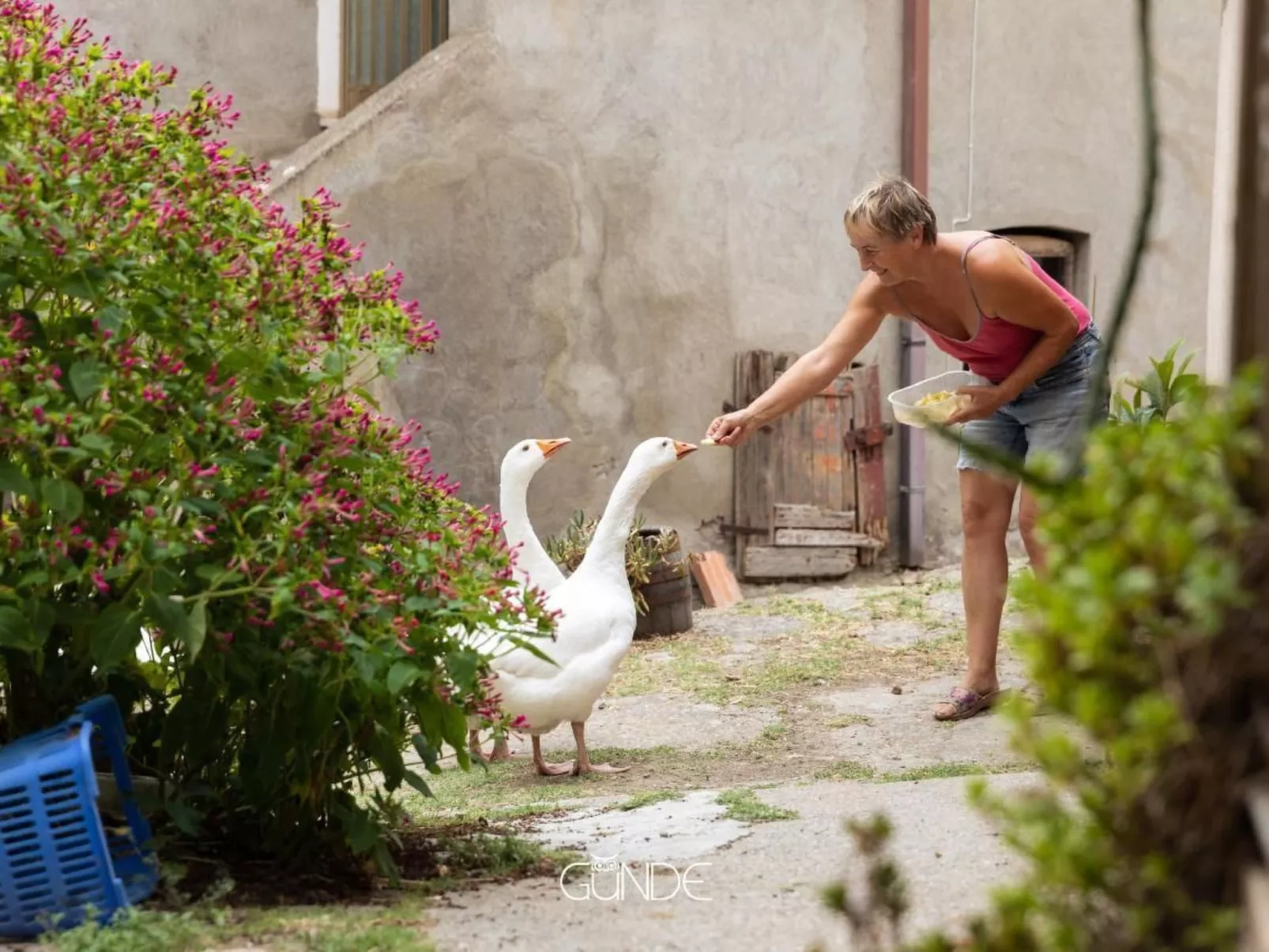 Das Bauernhaus - La Casa Contadina-Dedans
