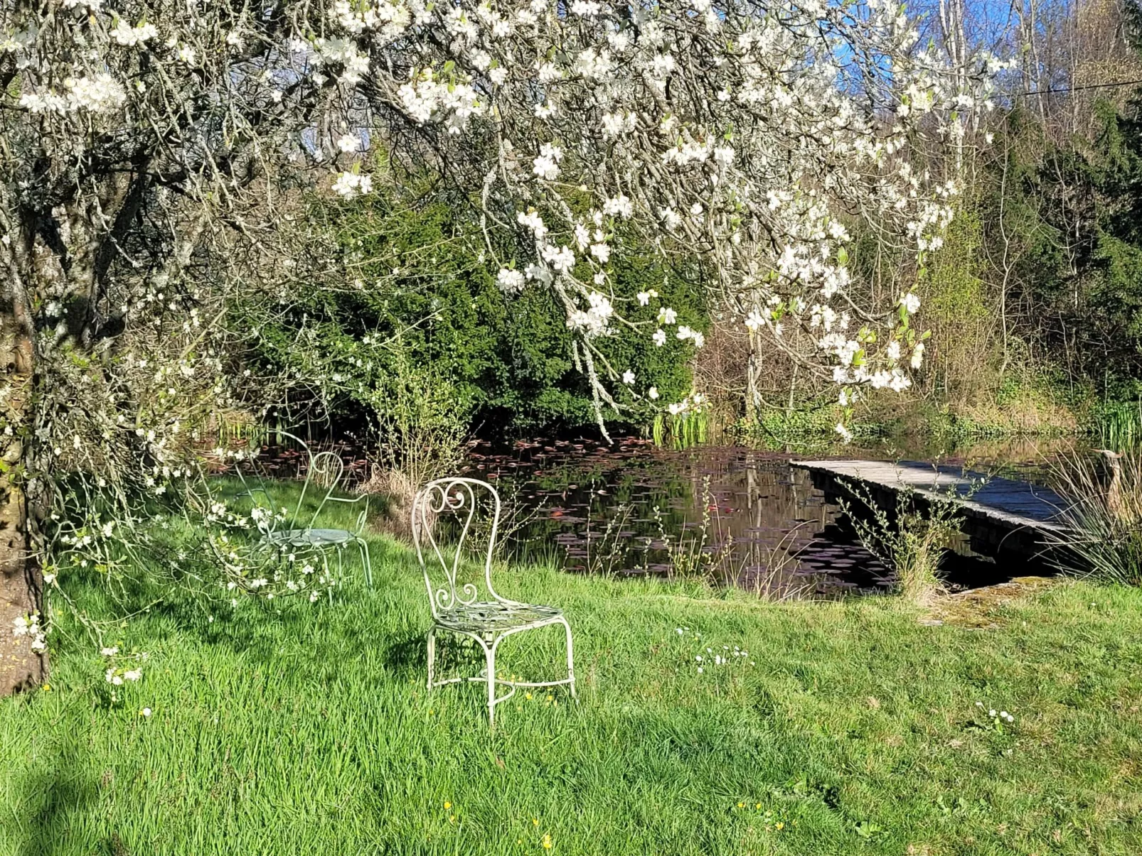 Renoviertes Ferienhaus in der Nähe von Cabourg-Deauville-Lisieux-Outside