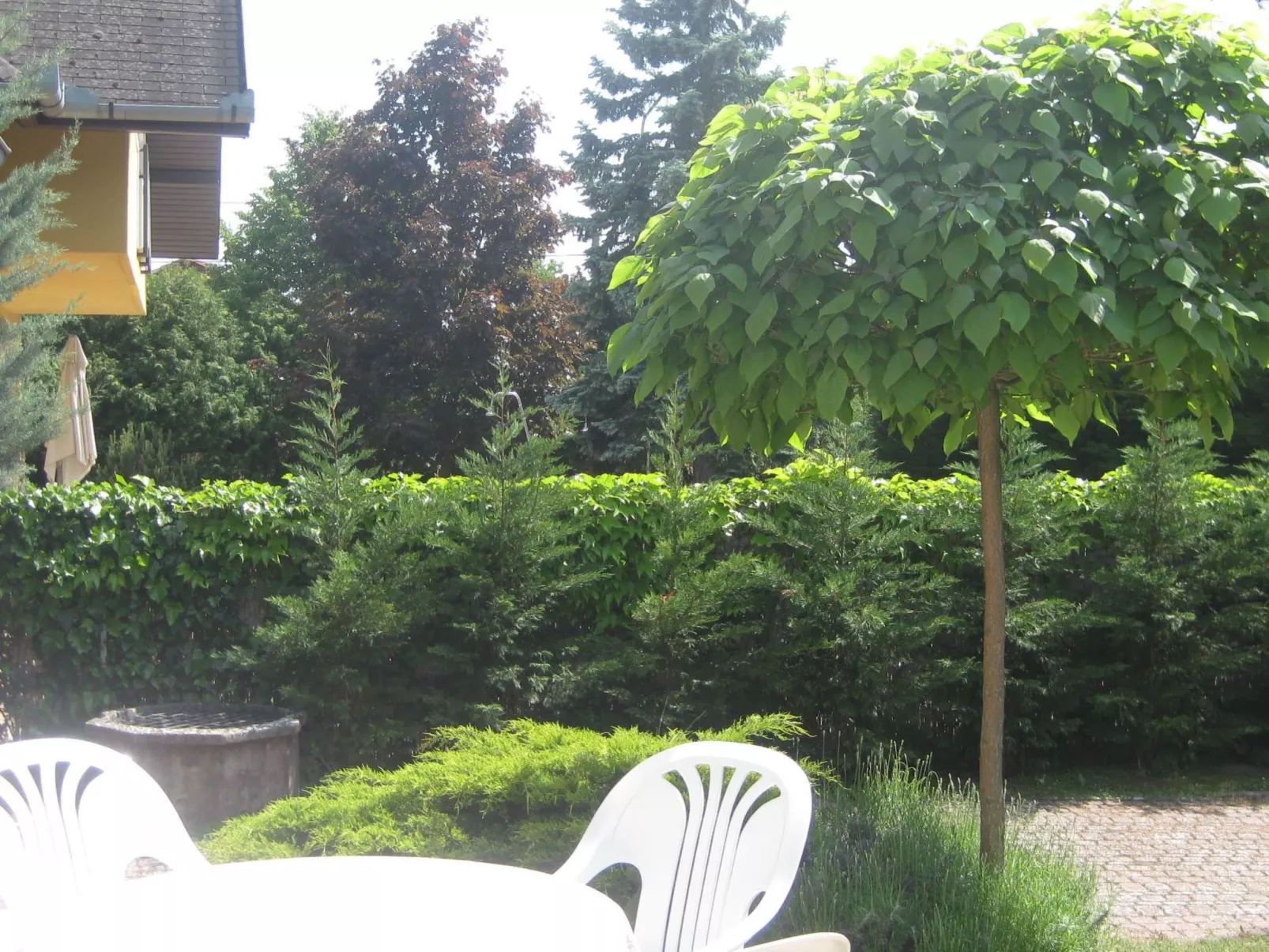 Mit gemeinschaftlichem Pool-Inside