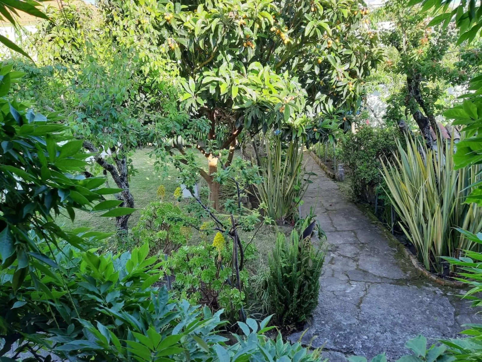 Historisches Haus in der Nähe des historischen Dorfes von Óbidos-Image-tags.info