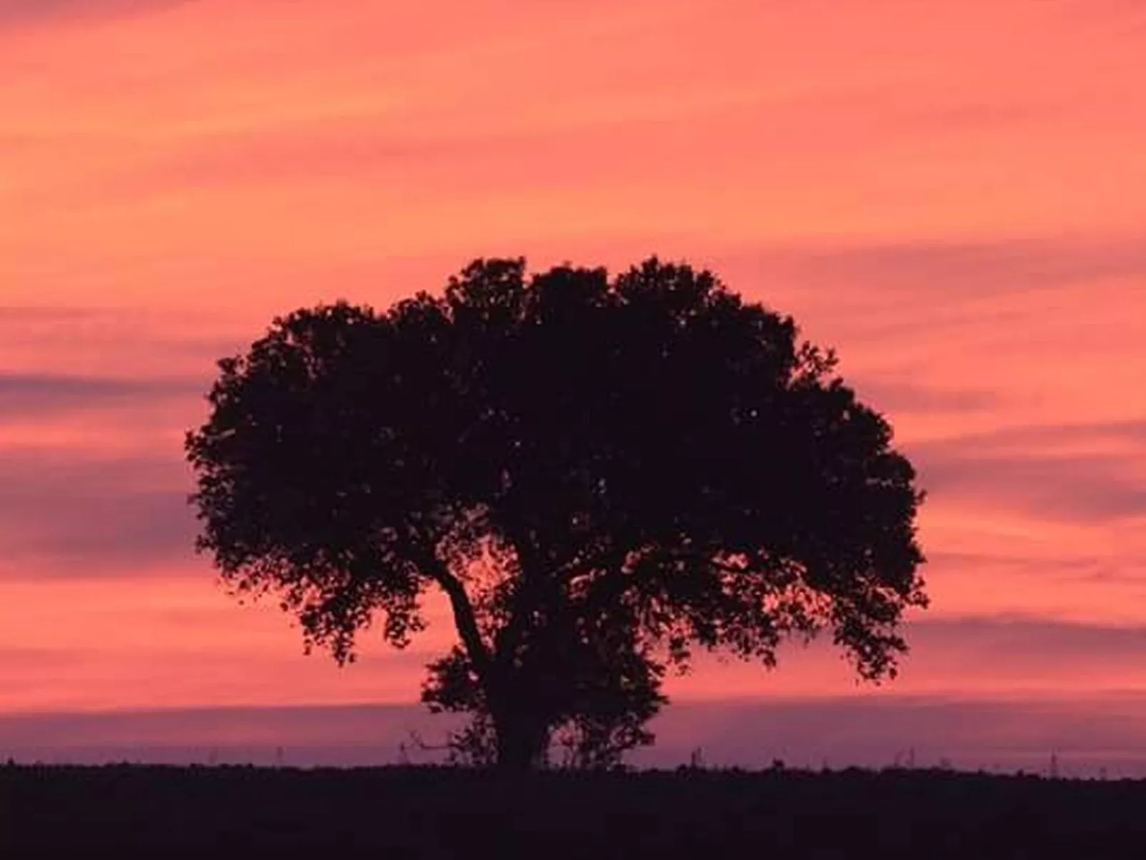 Monte Horizonte Casa Passaro Öko und Natur-Draußen