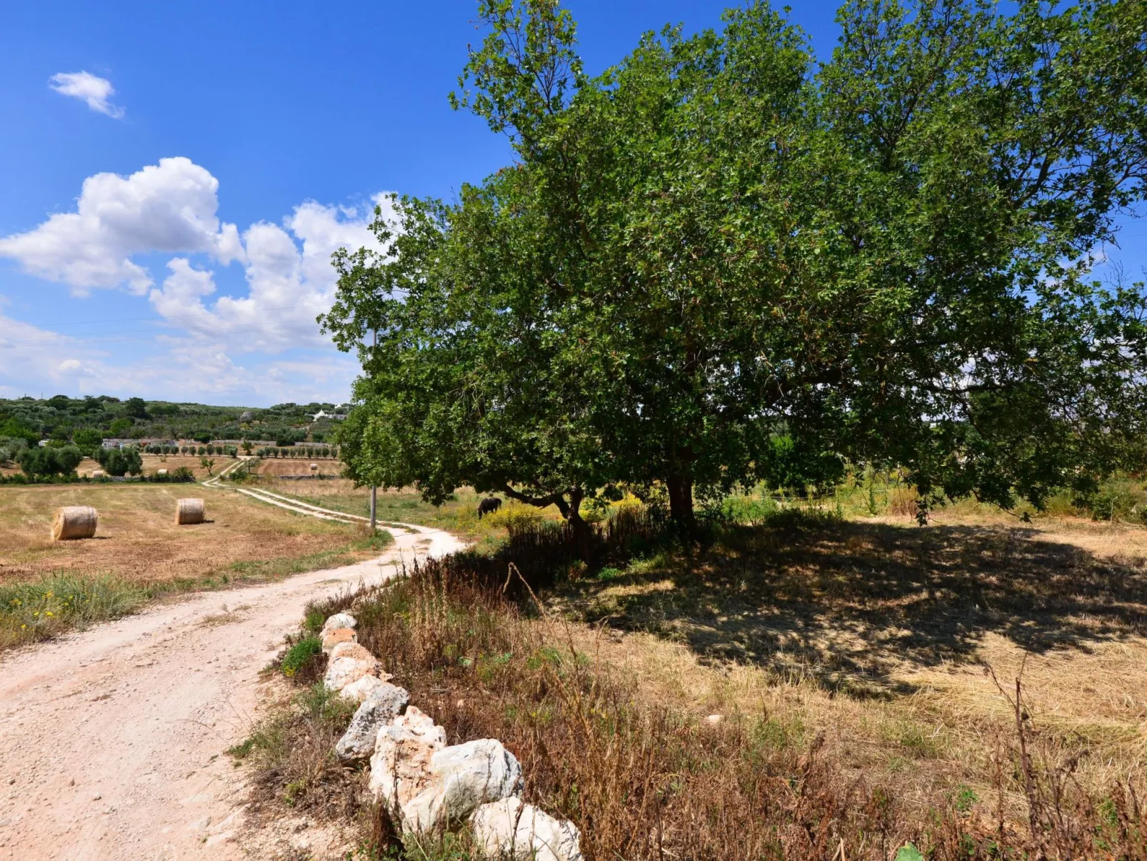 Antike Villa mit privatem Pool, Spa und türkischem Bad-Inside