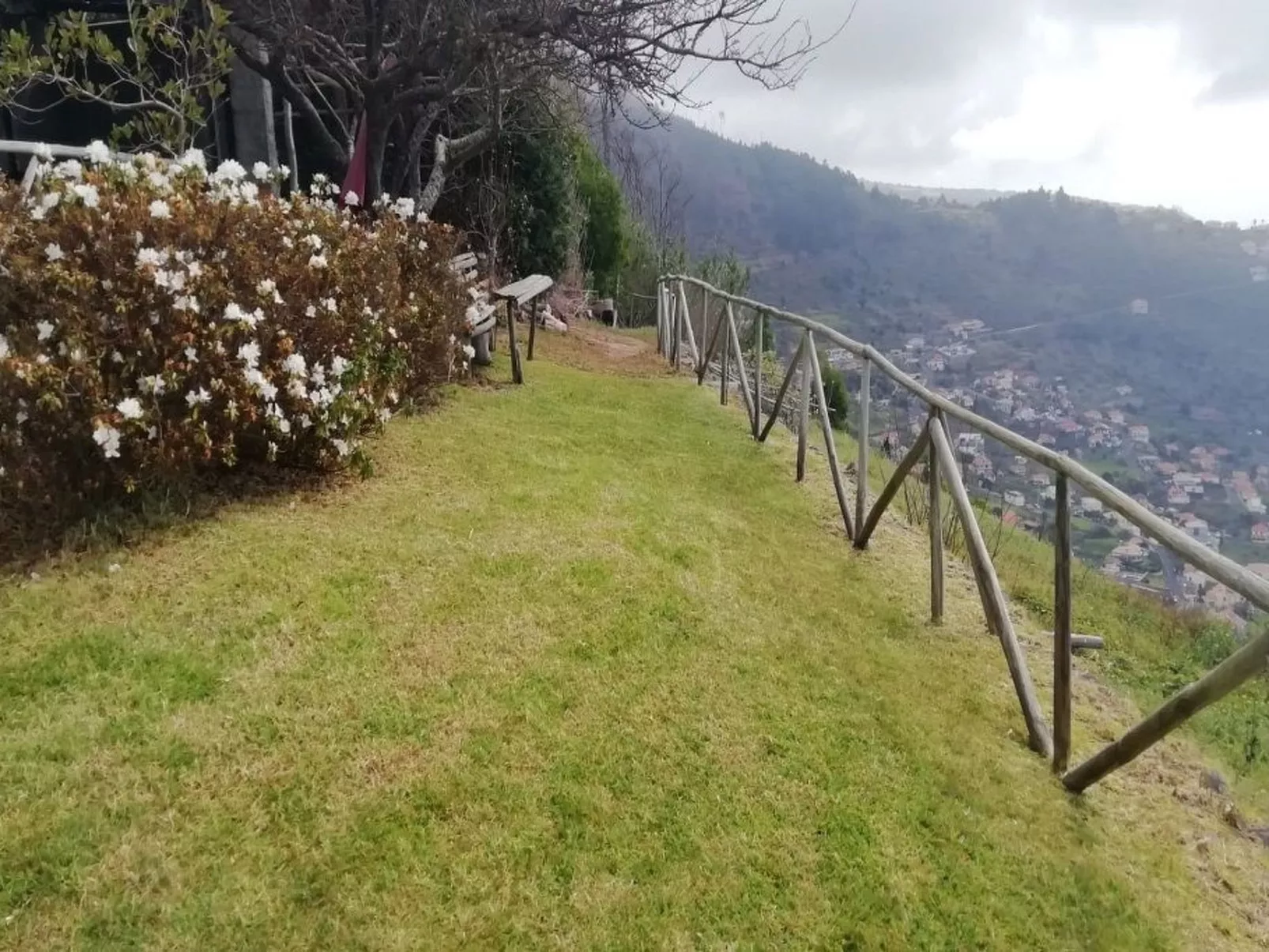 Haus in Arco Da Calheta mit Garten und Meerblick-Image-tags.info