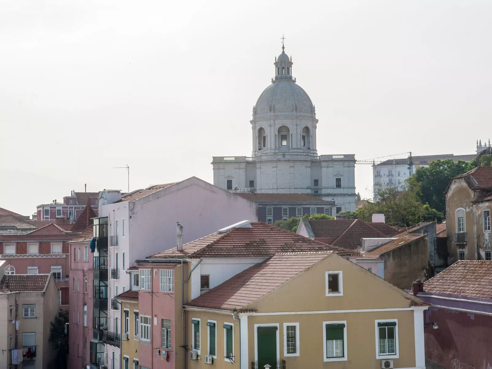 Apolónia 8D-Image-tags.info