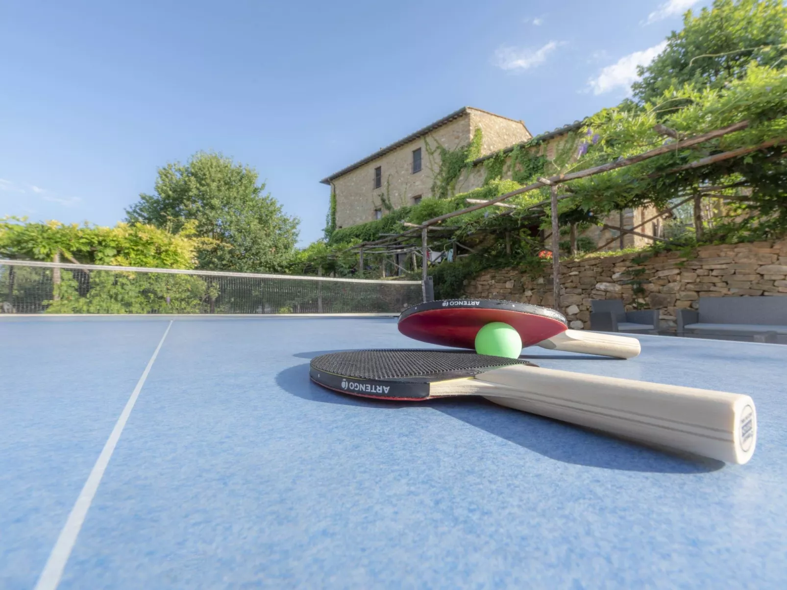 Gartenrotschwanzmascie-Draußen