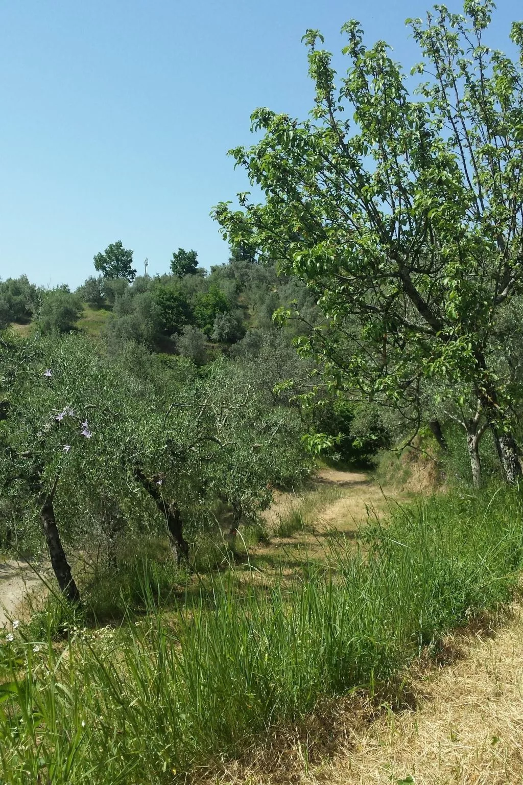 Das Gästehaus-Drinnen