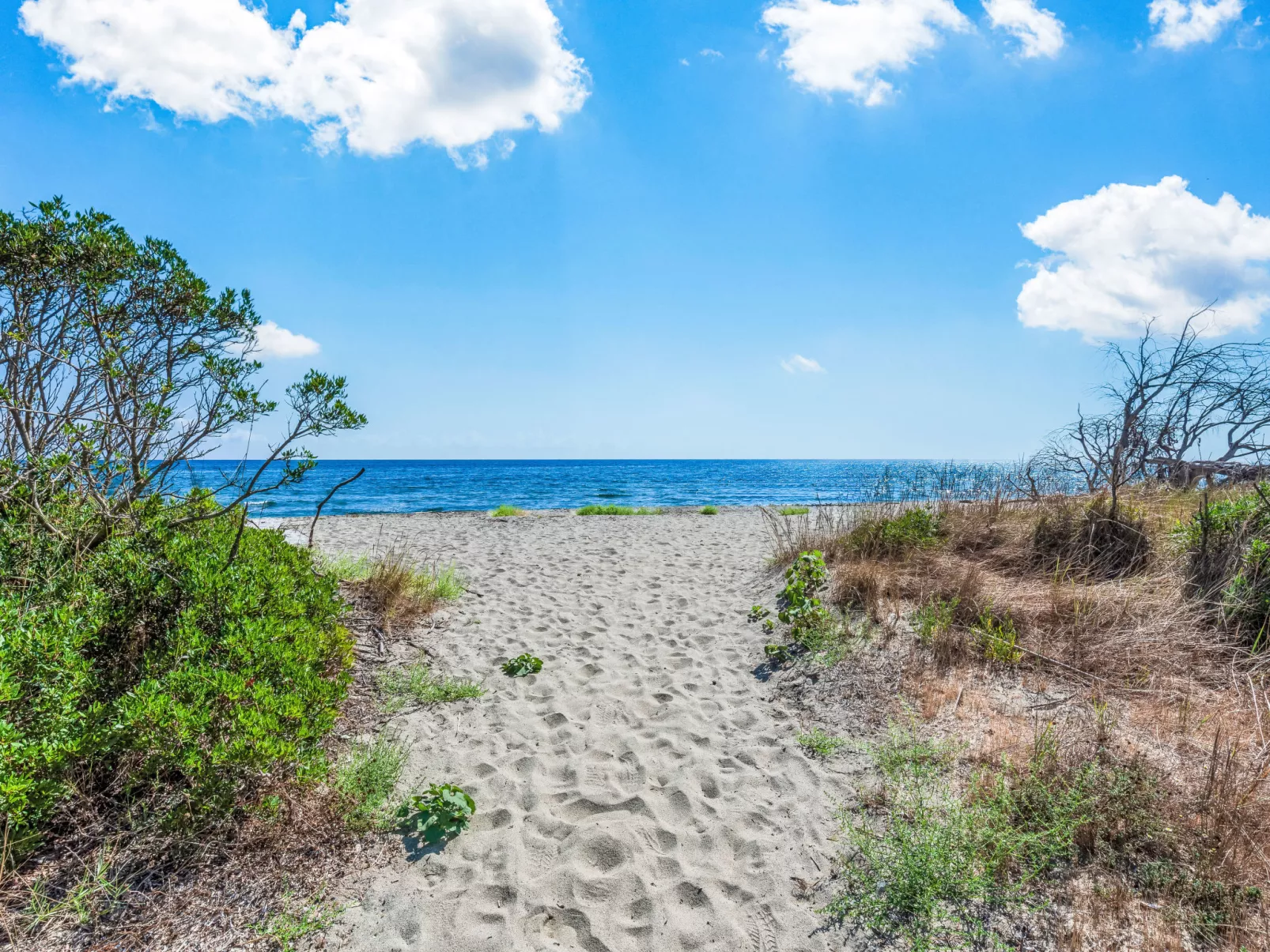 Villa Belle Vue, direkt am Meer, 1-2 Haustiere erlaubt-Umgebung