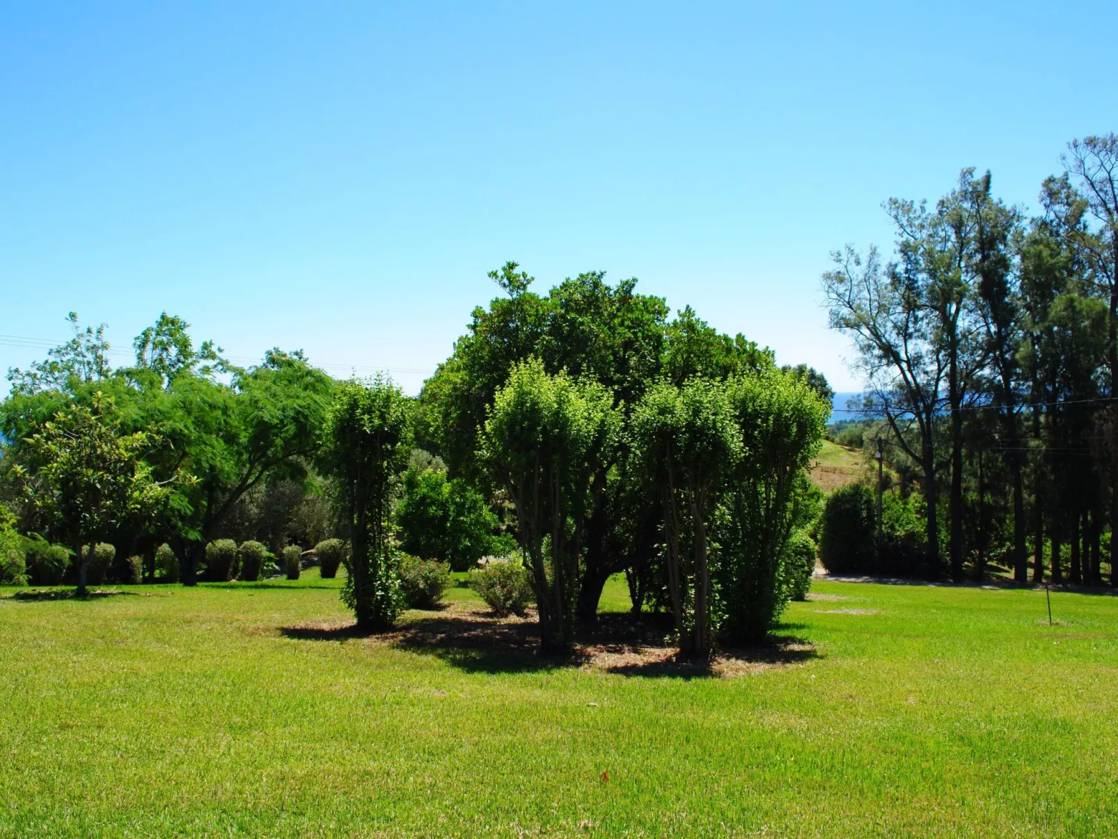 Villa mit Meerblick U Castagnu in geschützter Natur-Drinnen