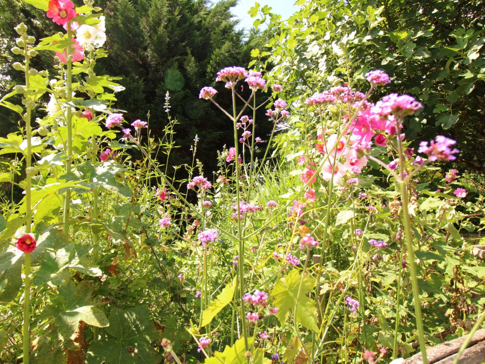 Komfort, Ruhe, privater Pool, EV-Ladestation-Inside