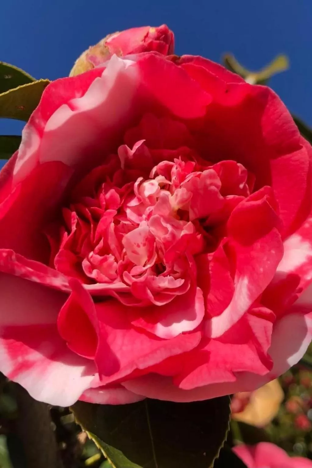 Casa Tintinnio-Drinnen