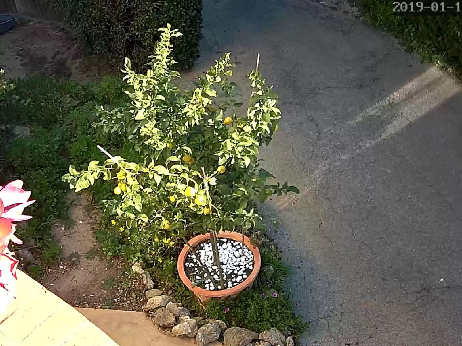 Erdgeschoss der Villa du Pébrier Côte d'Azur Saint Aygulf-Inside