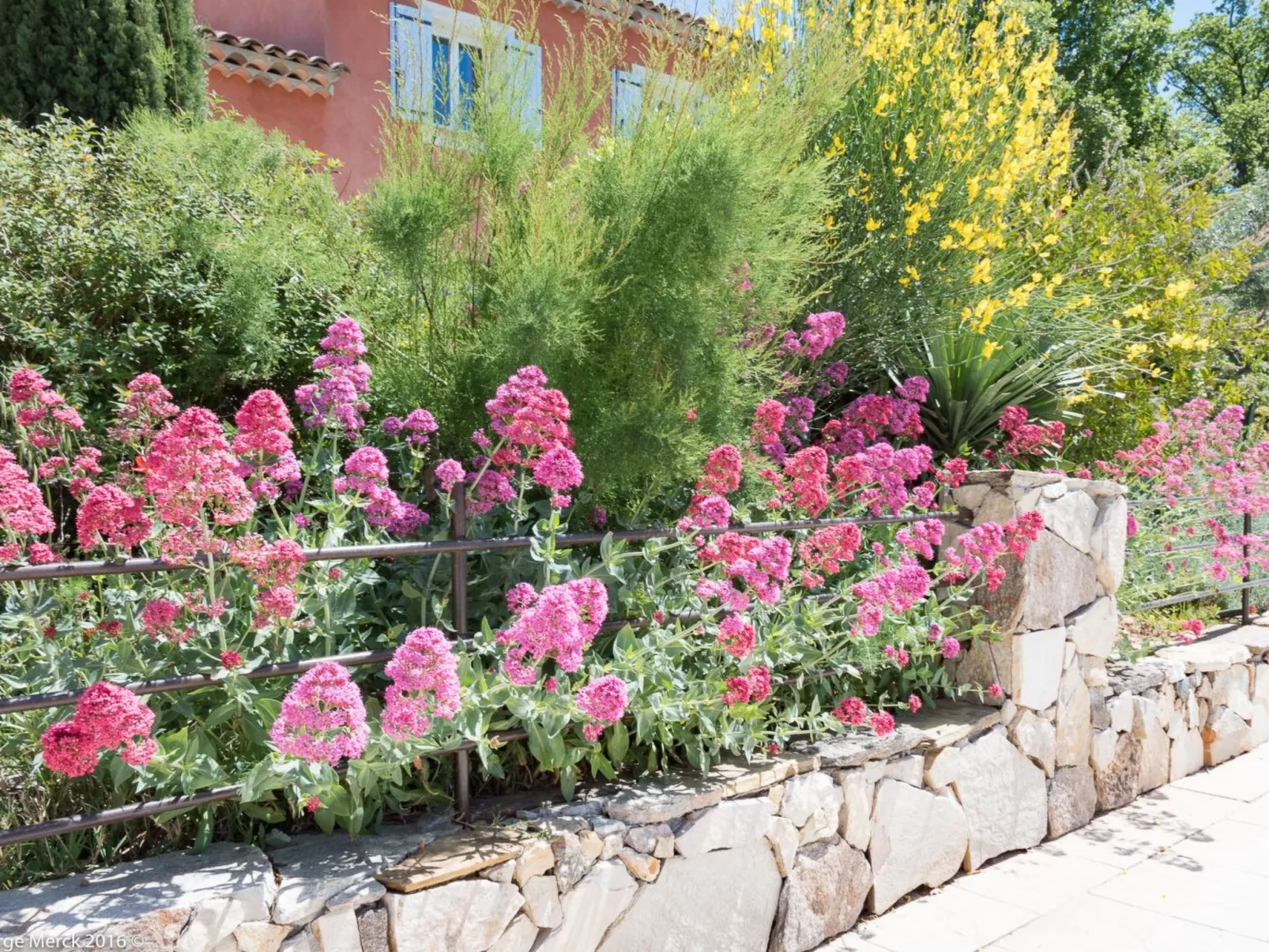 Les amandiers-Image-tags.info