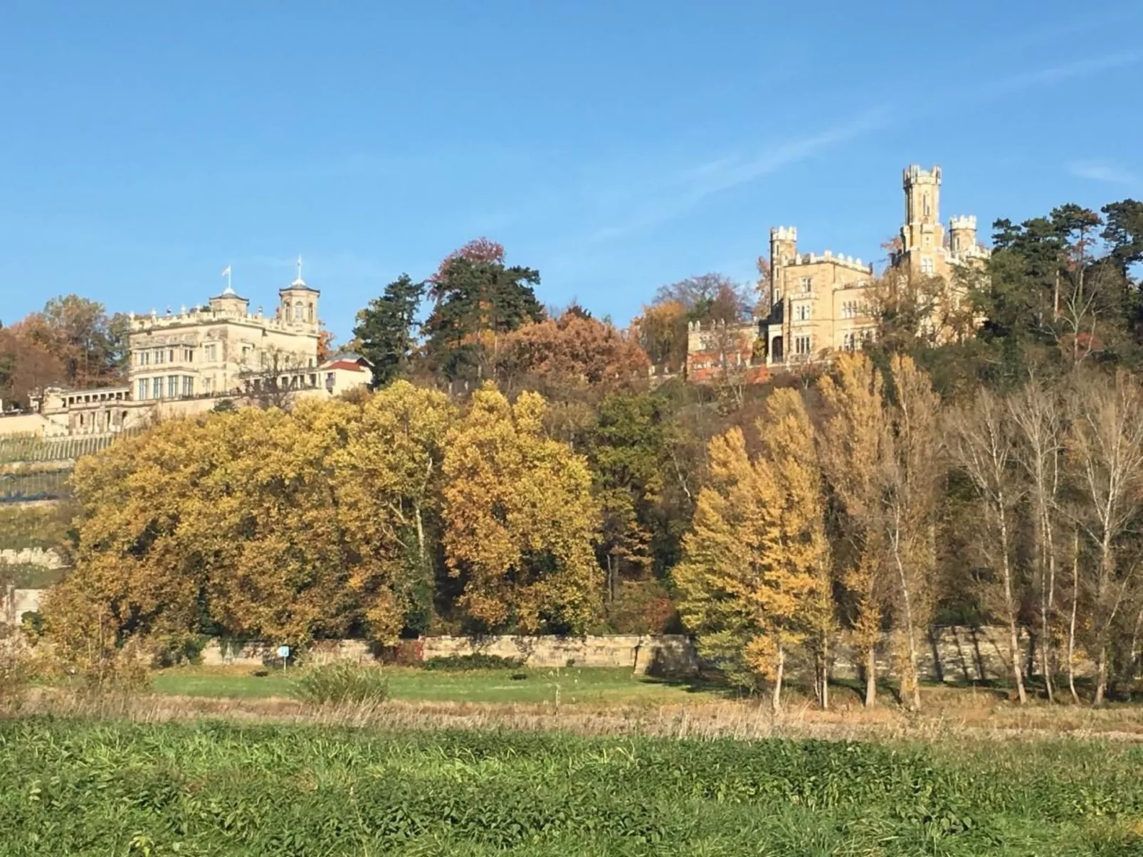 Dittrich in Pirna-Dedans