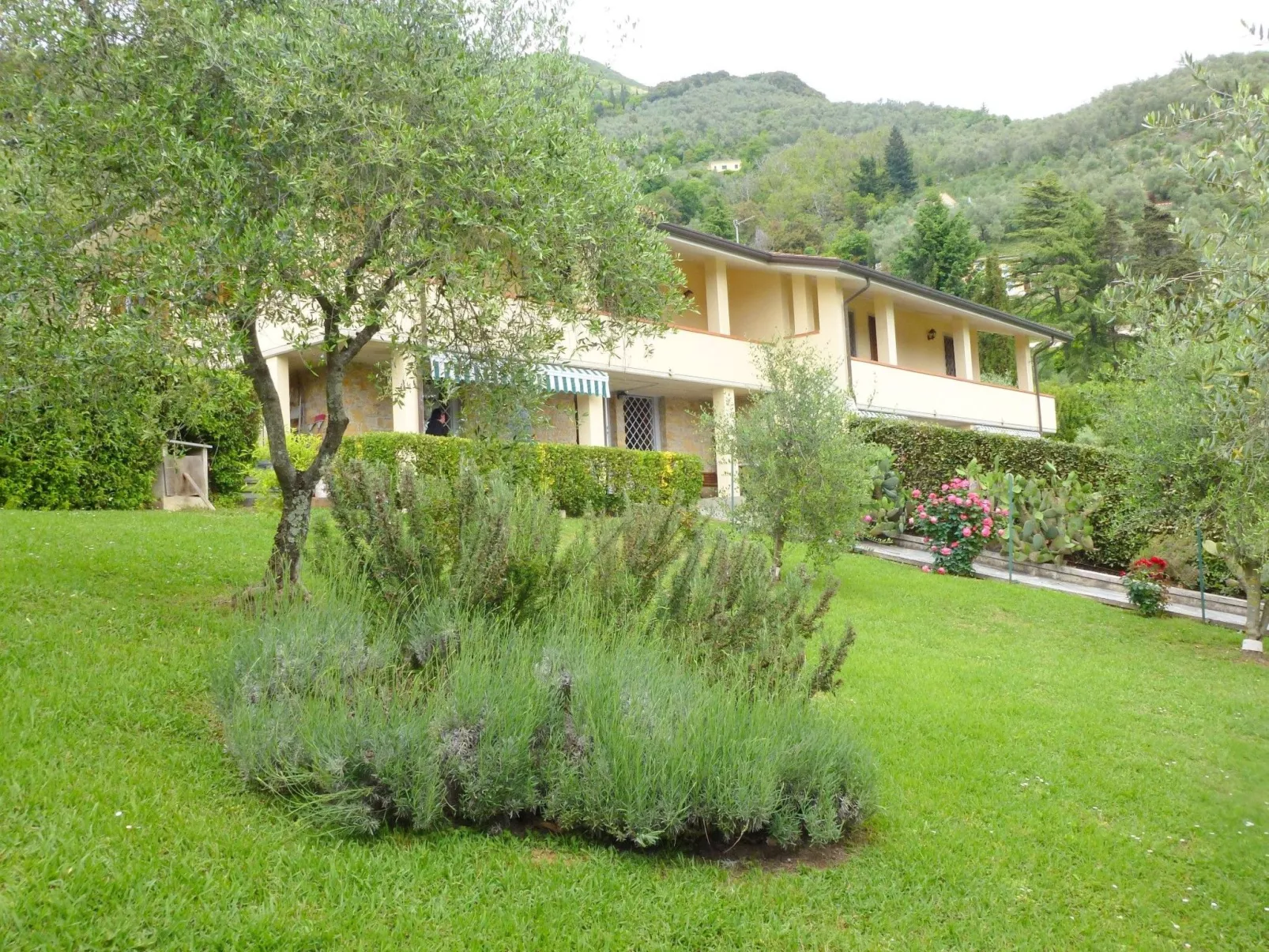 TV003 Natalia Sotto-Draußen