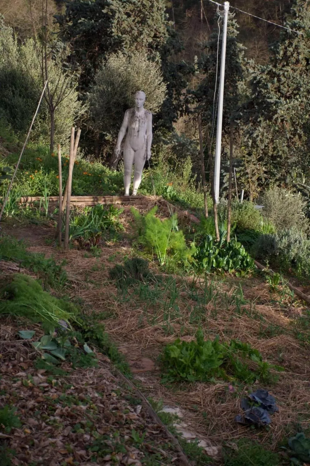 Artist's hill-Drinnen