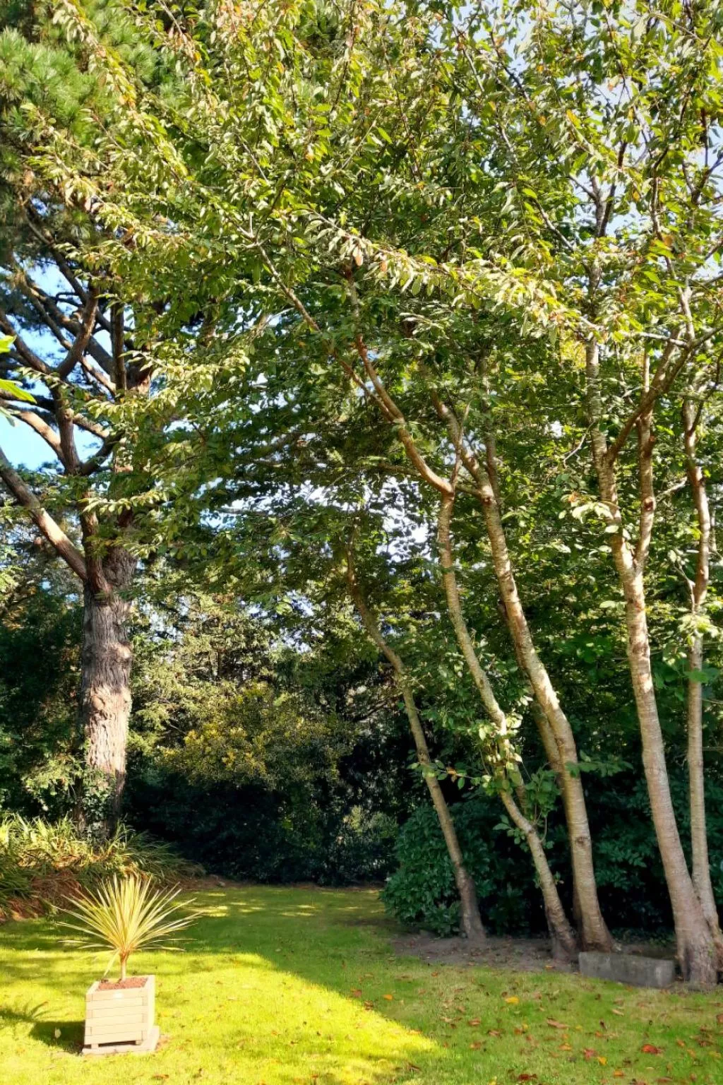 Haus auf der Halbinsel Plougastel-Dehors