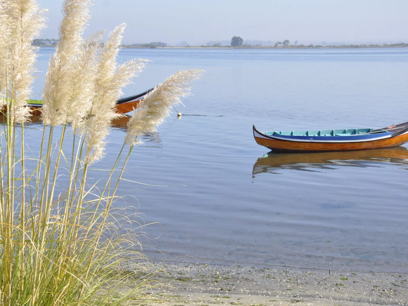 Vila Gaivota-Outside