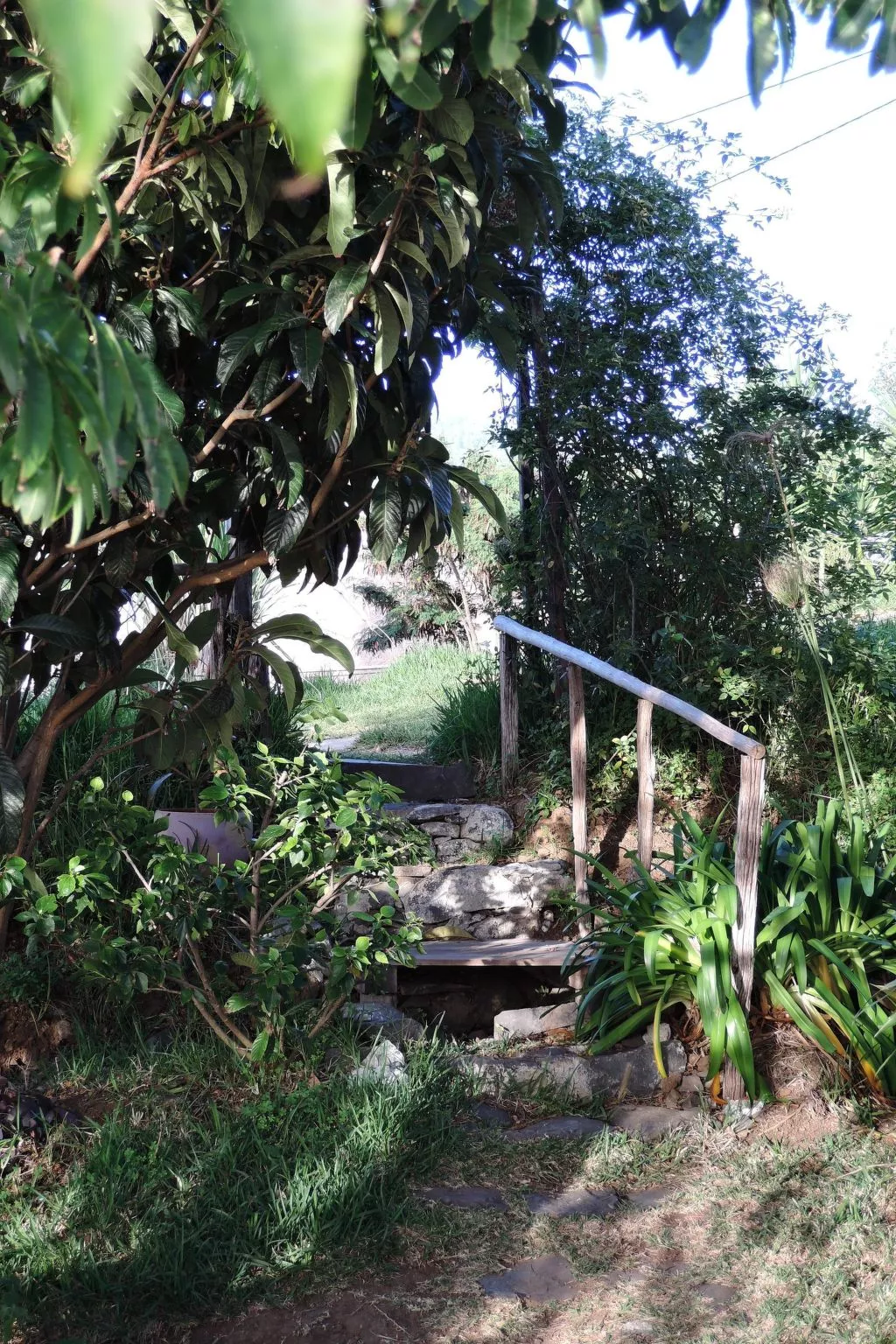 In Canhas mit Schönem Garten-Draußen