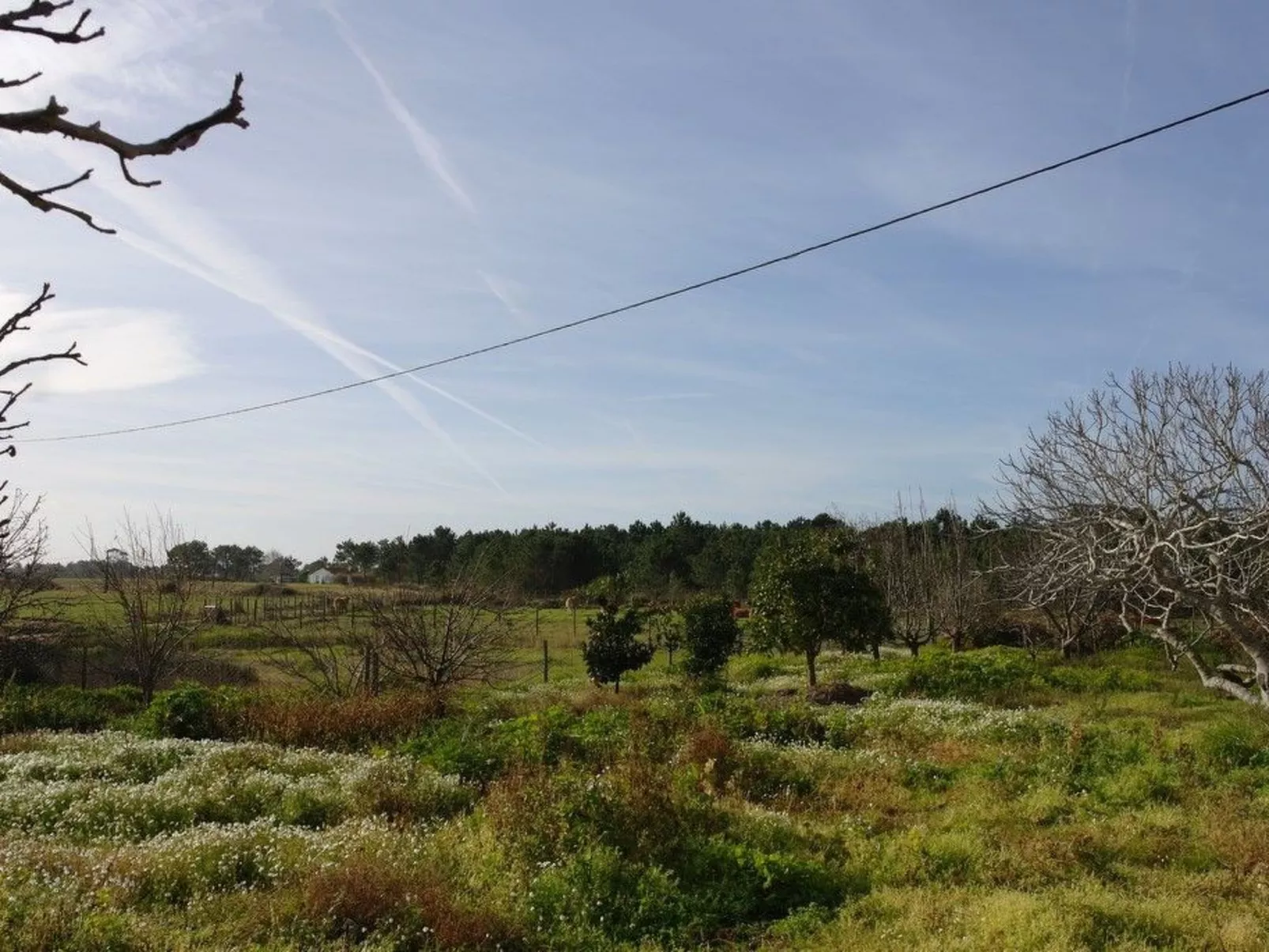 Charmantes Ferienhaus mit schöner Aussicht, 2 Schlafzimmer-Draußen