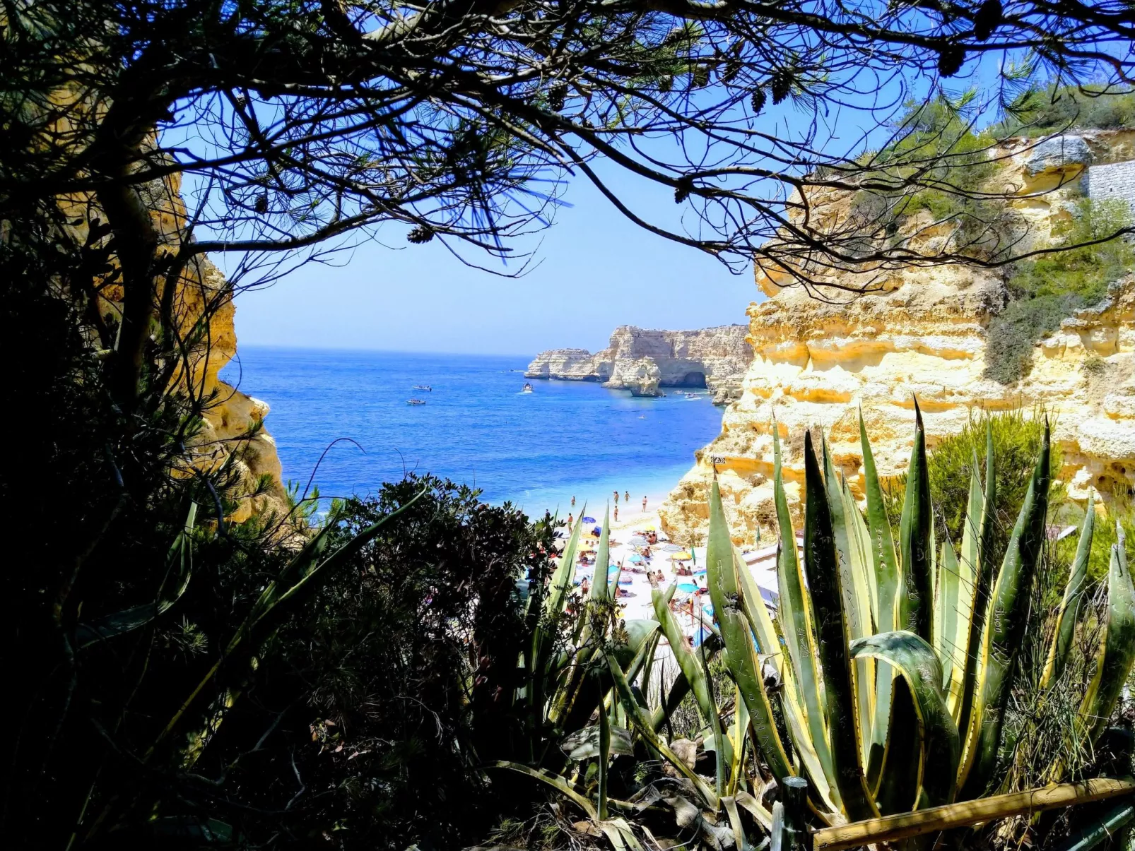 Garten Design brandneue Wohnung mit Pool-Image-tags.info