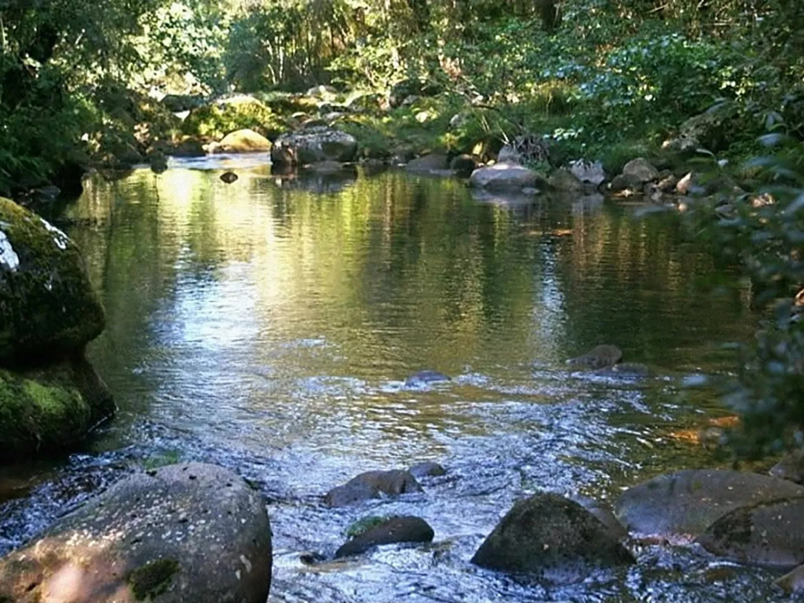 "Großmutters Häuschen" mit überdachter Terrasse-Draußen