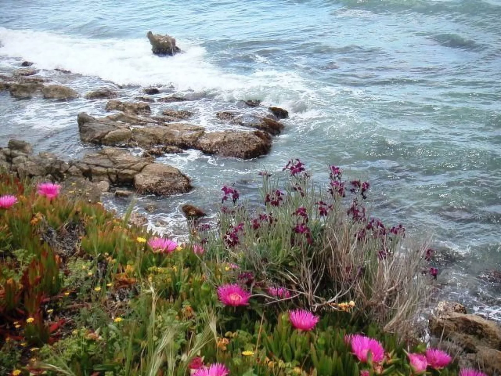 Steinhaus mit Panoramadachterrasse-Drinnen