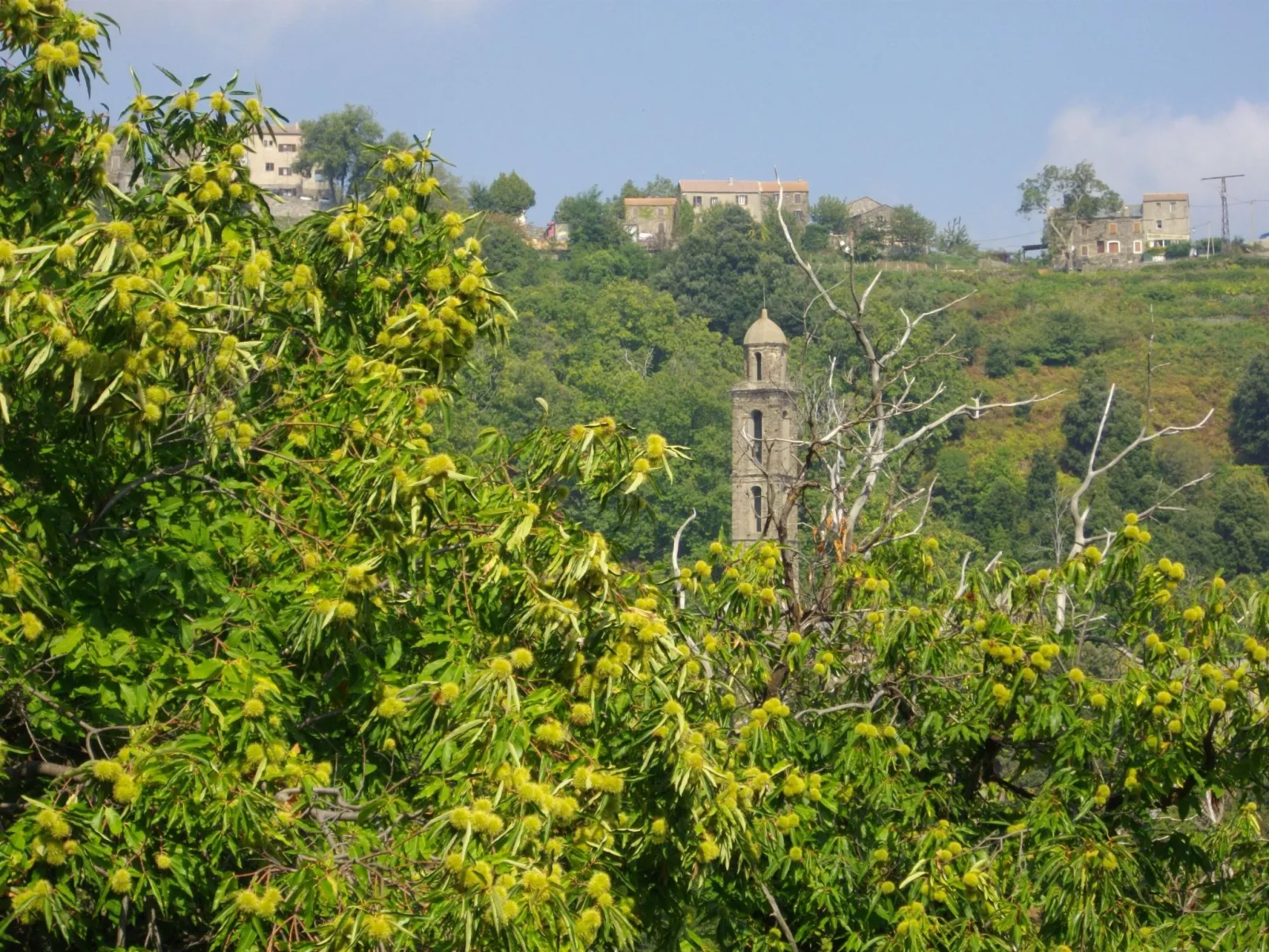 Sole e Ventu 50qm-Drinnen